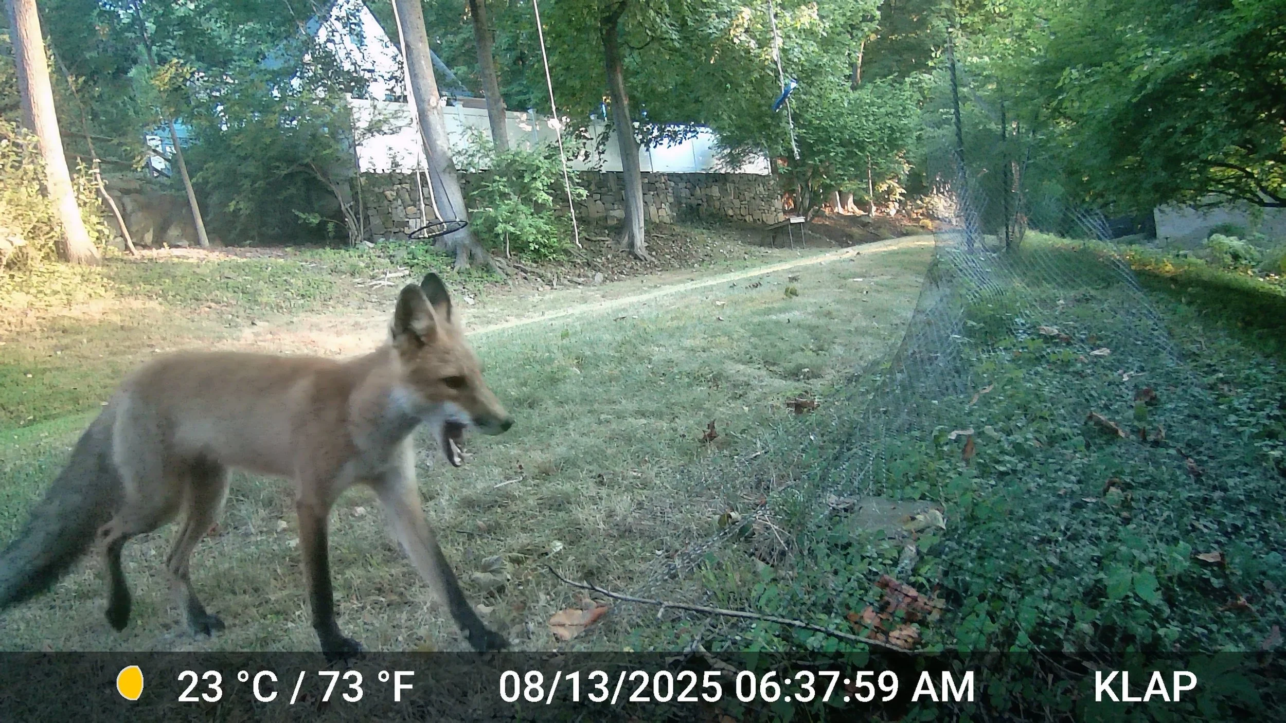 3893_6JURkzf2sI2nkM0xpIwK_Still photos_DSCF0204 1.JPG