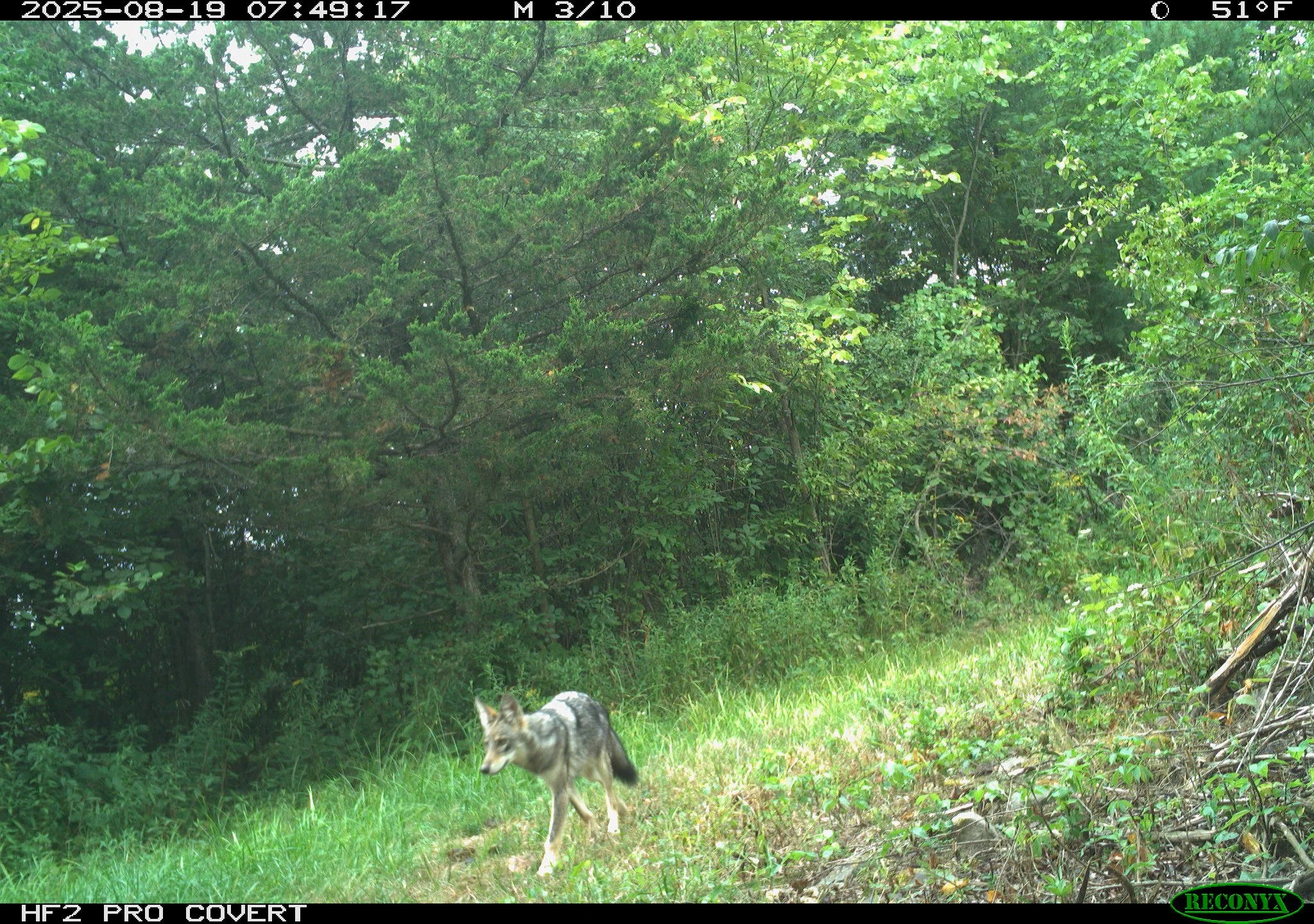 1659_un6FQhjDZfKwvOiS2zkR_8.24.25 Snapshot_RCNX0143 2.JPG