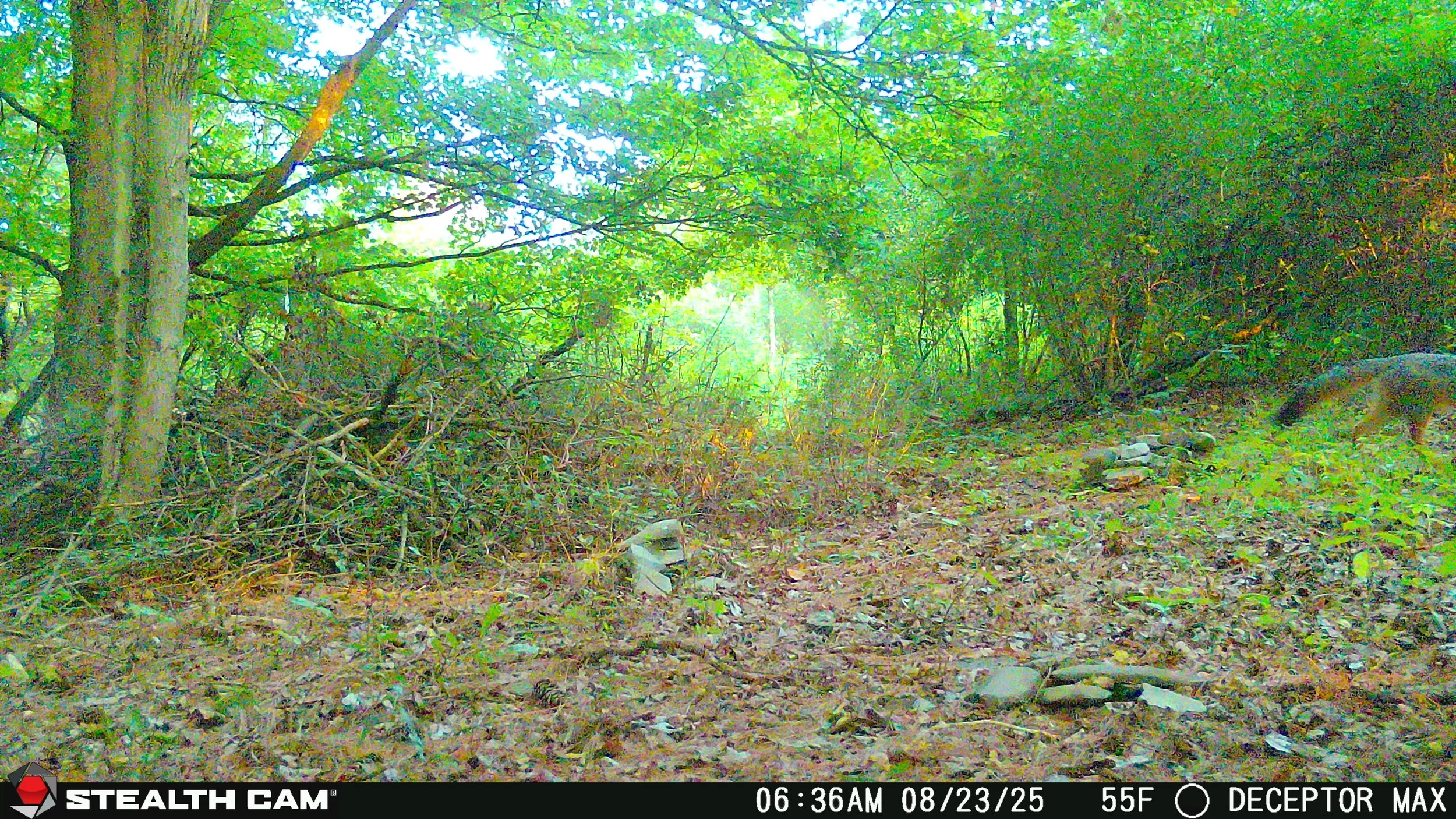 221_aS3jzgqcDYo88leHJegq_snapshot August 24_STC_0719.JPG