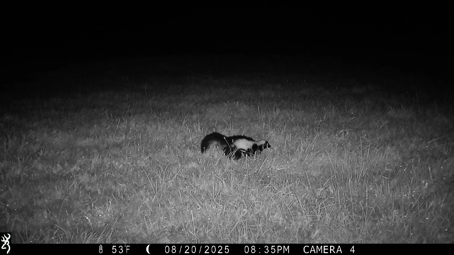 1523_WsWyjl9ZHtehkStz6q2p_Submission 2 _IMG_0121 2.JPG