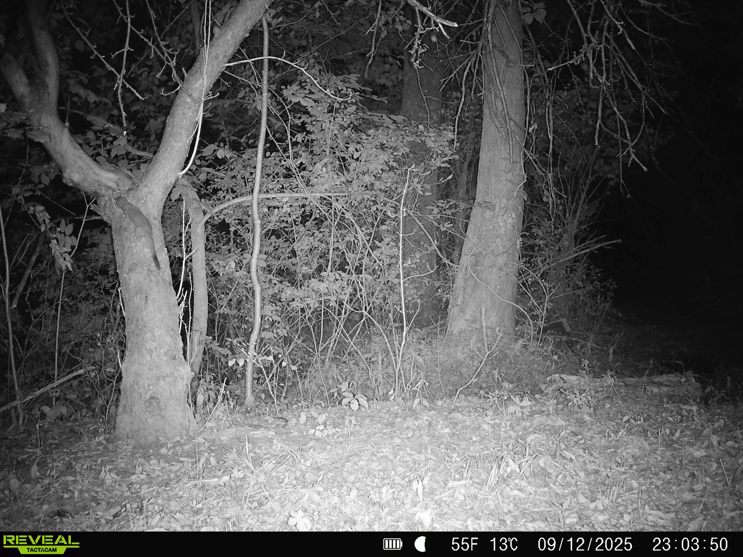 3441_mFfq8eZmCWbRuTmckTaB_Snapshot house 9-16_SYFW1009.JPG