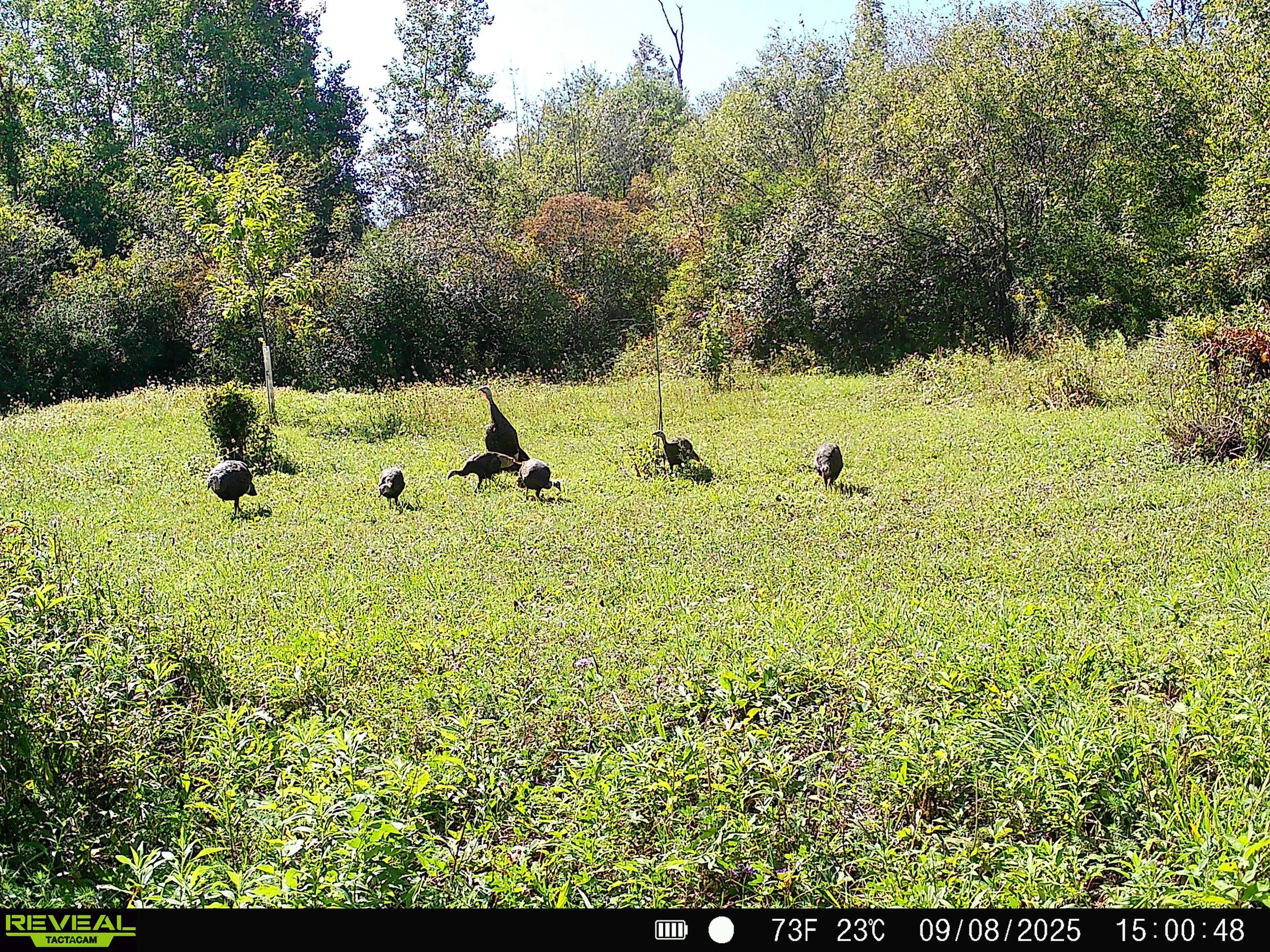 2914_GnOyy3npFTdT4jC9jEFM_sept 14_SYFW0068.JPG