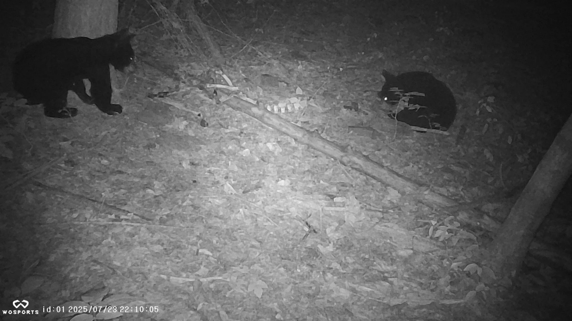 3698_AjqvHcP5icIkg7hlC1rw_Snapshot NY Green Hill May to July 2025_PICT0176.JPG