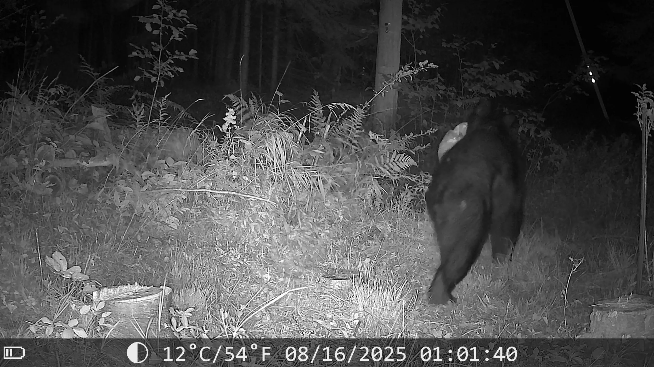 1037_ohyW4hcKq5XrI07IlSwU_Photos-1-001 (4)_2025-08-19_17.53.37.764_30621C6C.jpg