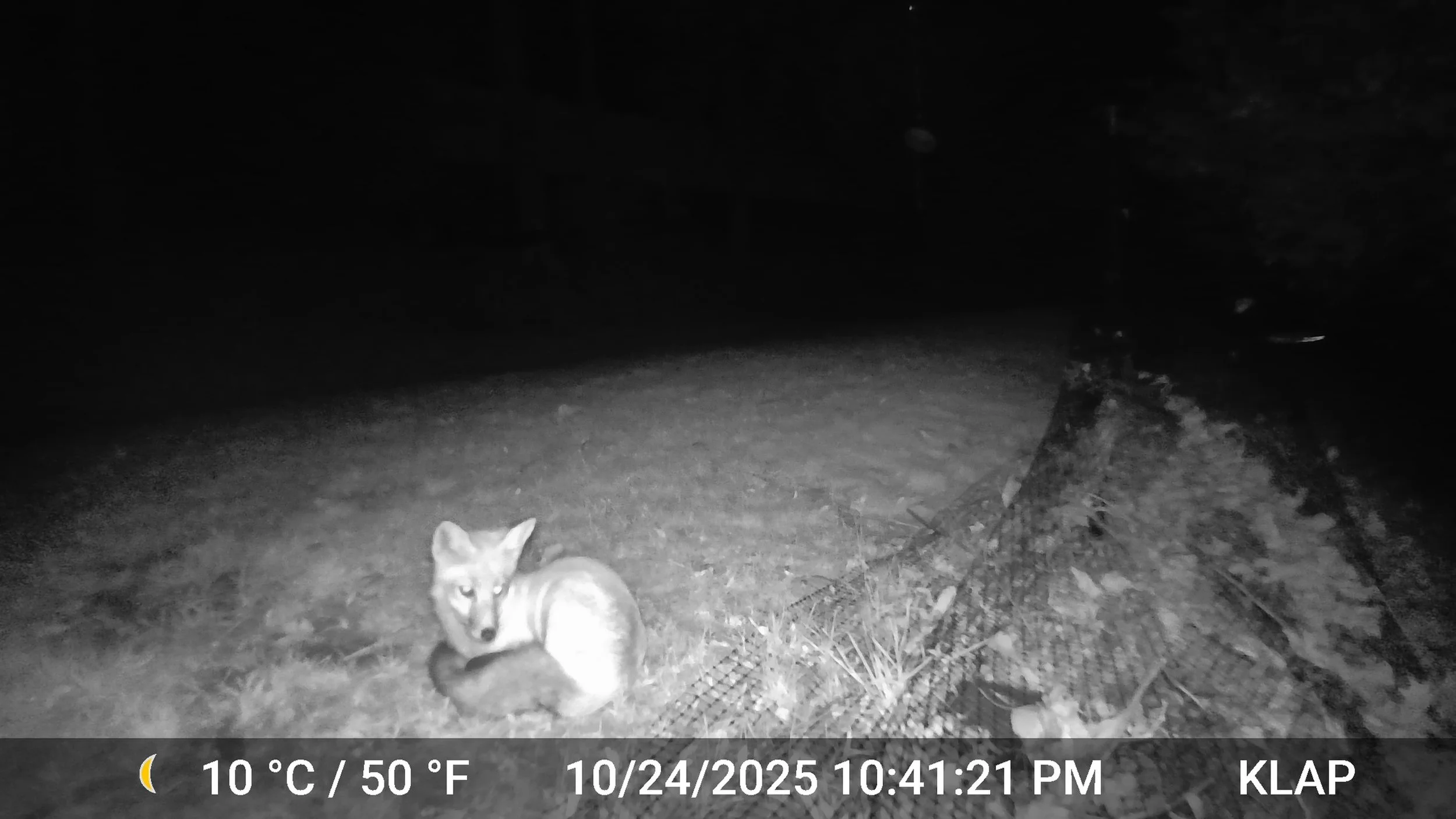 3893_28l2BfK4gZYzNSmQiOFk_Oct 15 to Nov 4 2025_DSCF0369.JPG