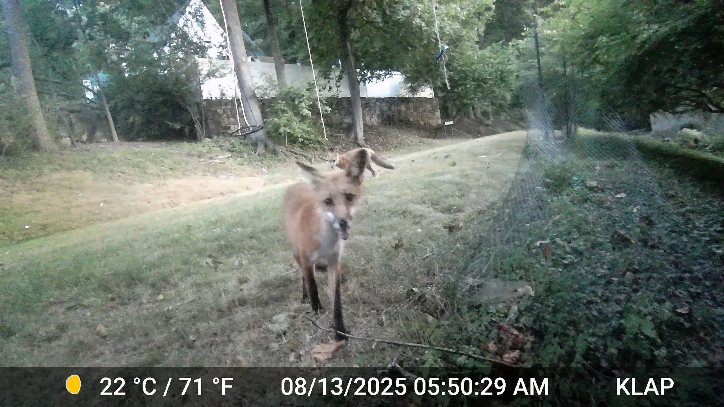 3893_6JURkzf2sI2nkM0xpIwK_Still photos_DSCF0132.JPG