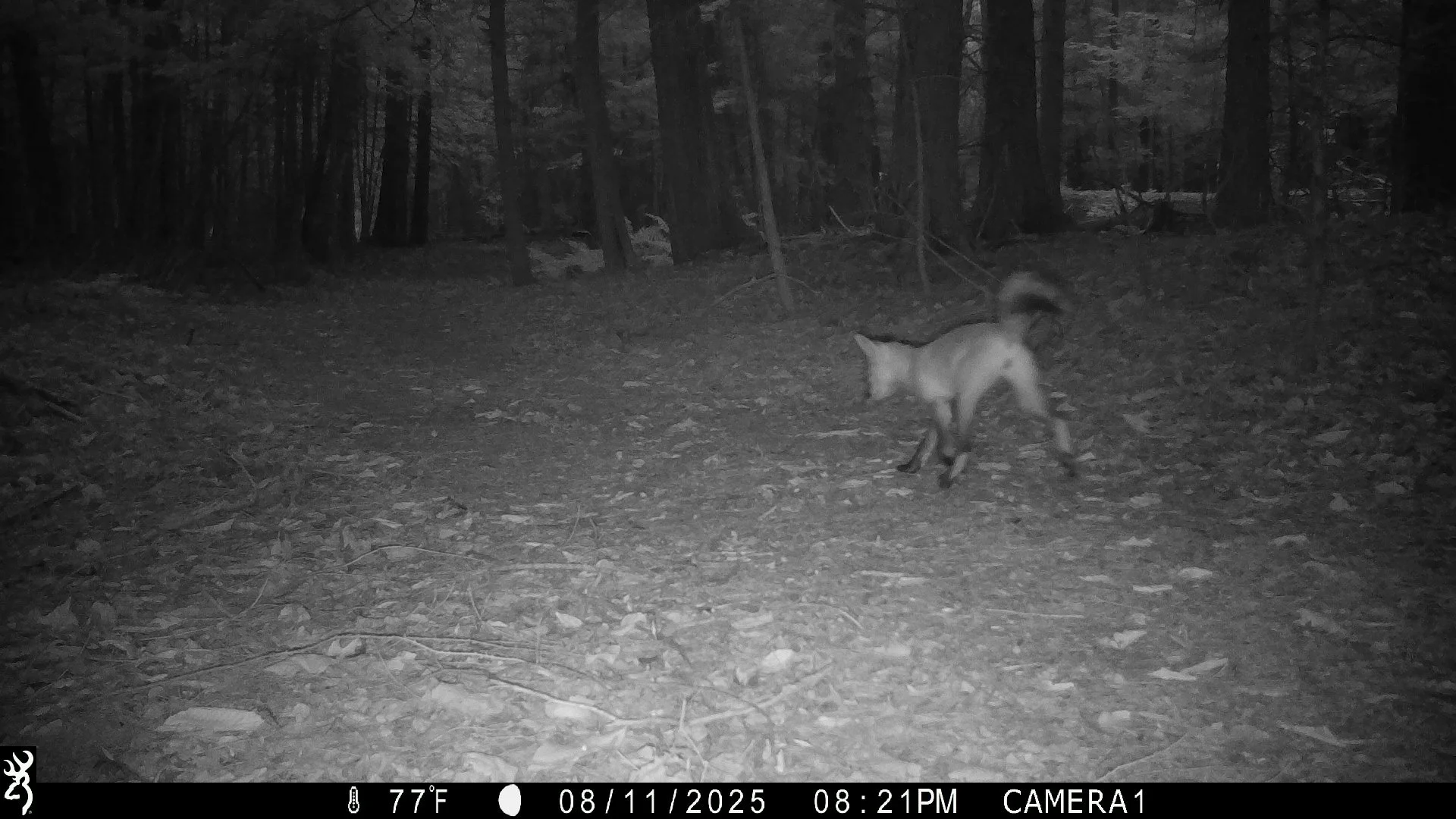 1353_TSe9BTvQrbGf5aQso4AK_snapshot 0812_IMG_0339.JPG