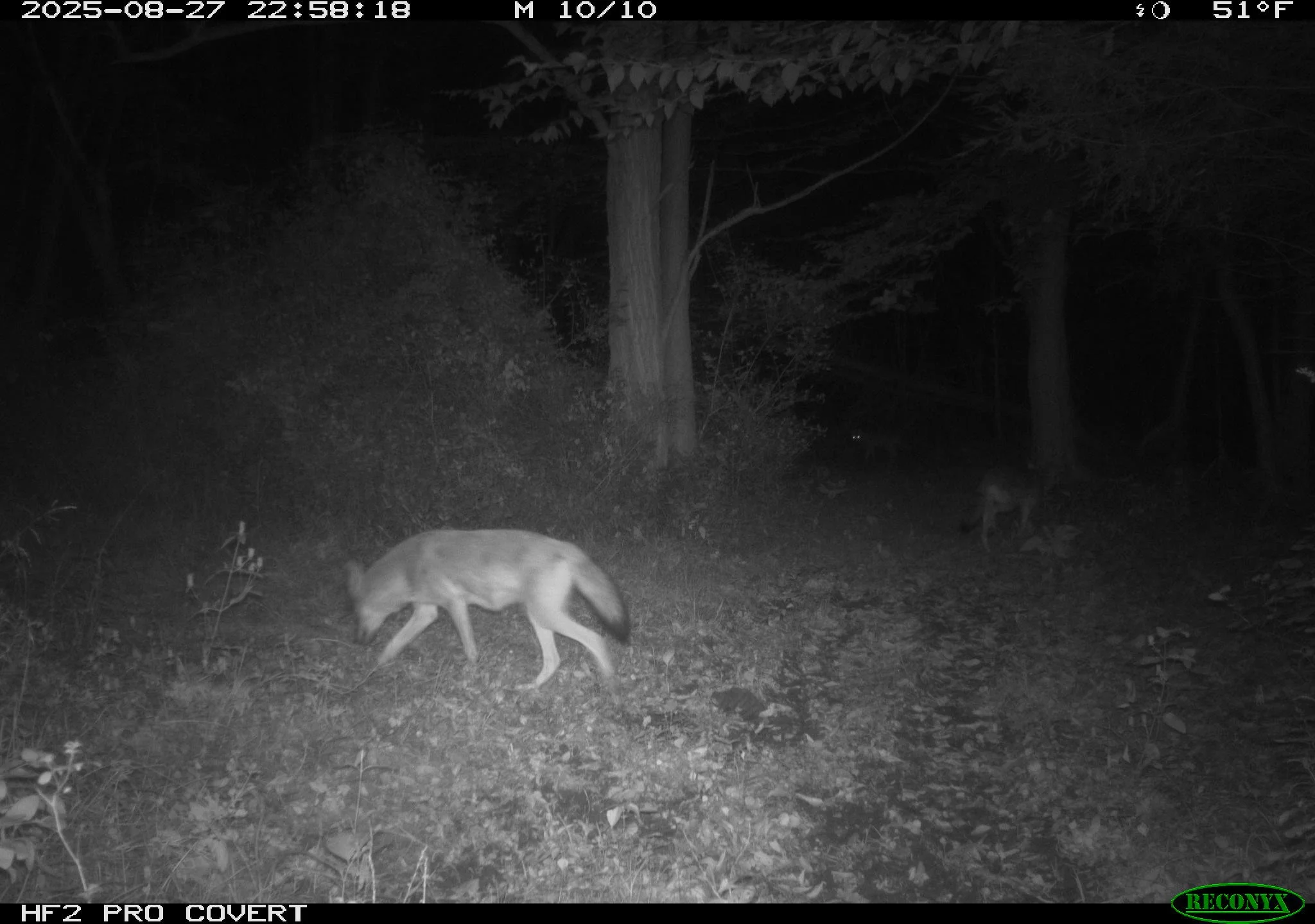 4226_3um7wPZwEGZEc1scfUgr_Snapshot NY Upload_RCNX0076.JPG