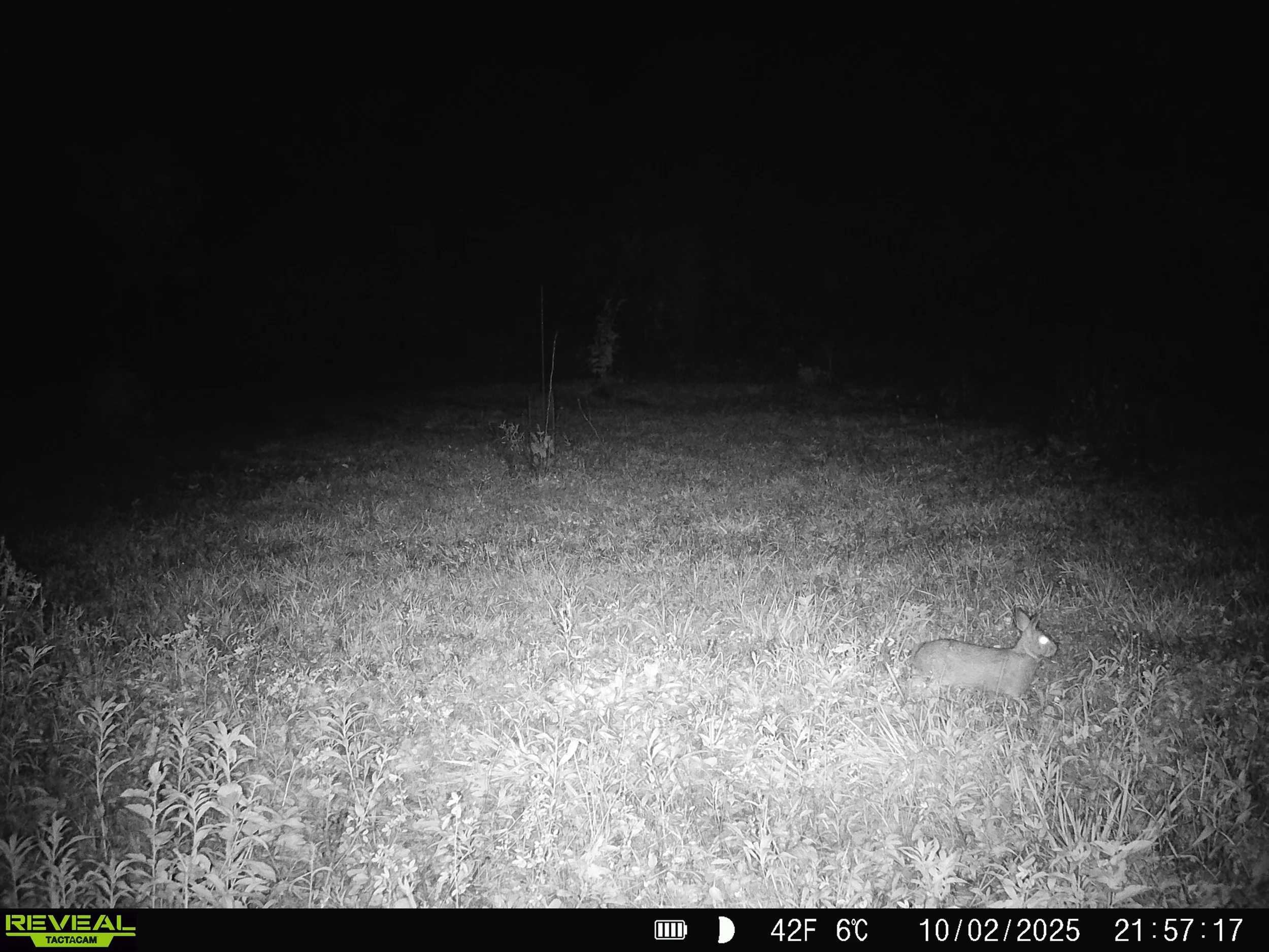 2914_T0K9LBdBPoCcB2CbYqEG_Oct 3_SYFW0247.JPG