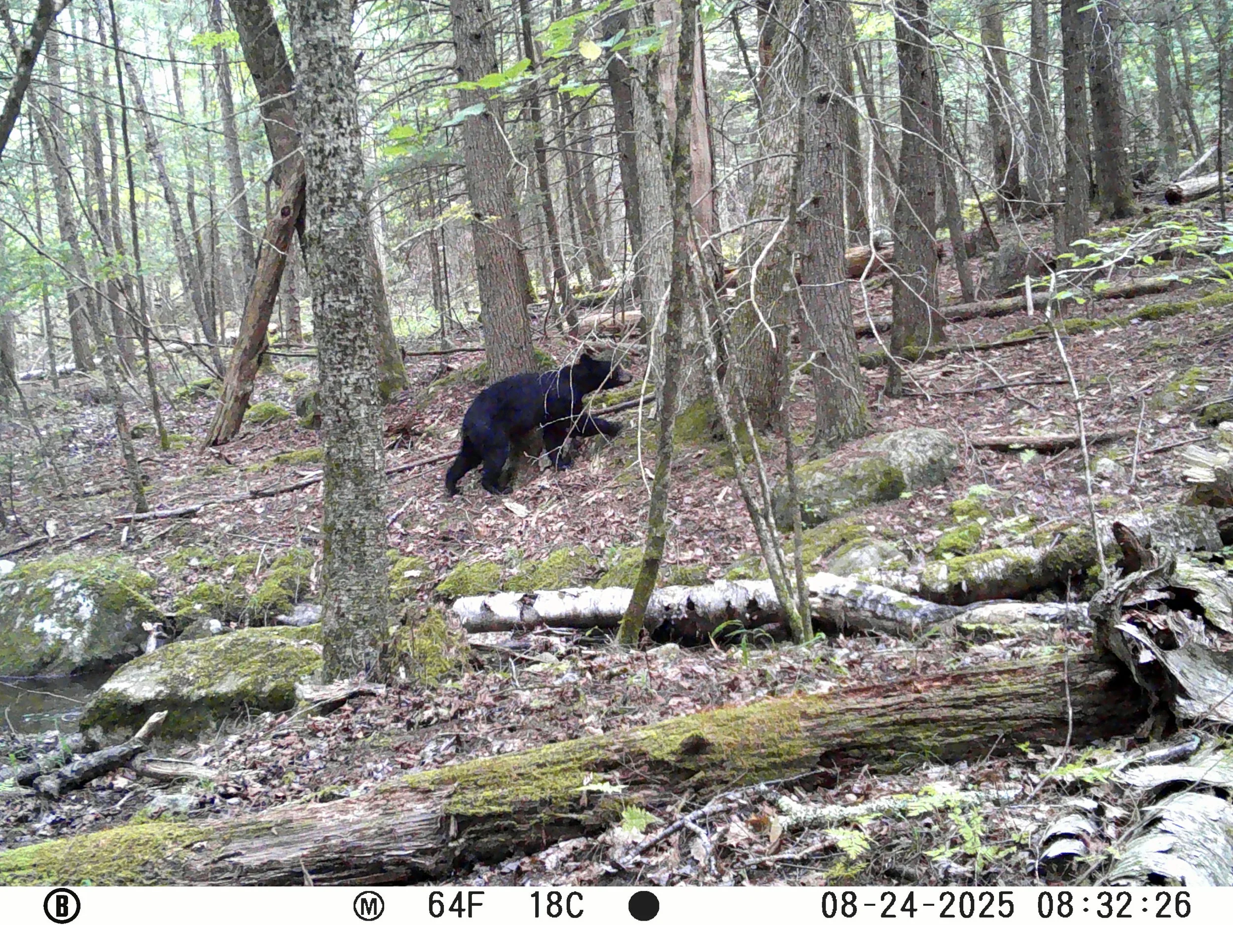 1321_2GGU6PI0wjGndLy34lep_Snapshot Upload 8.27.25_08240160.JPG