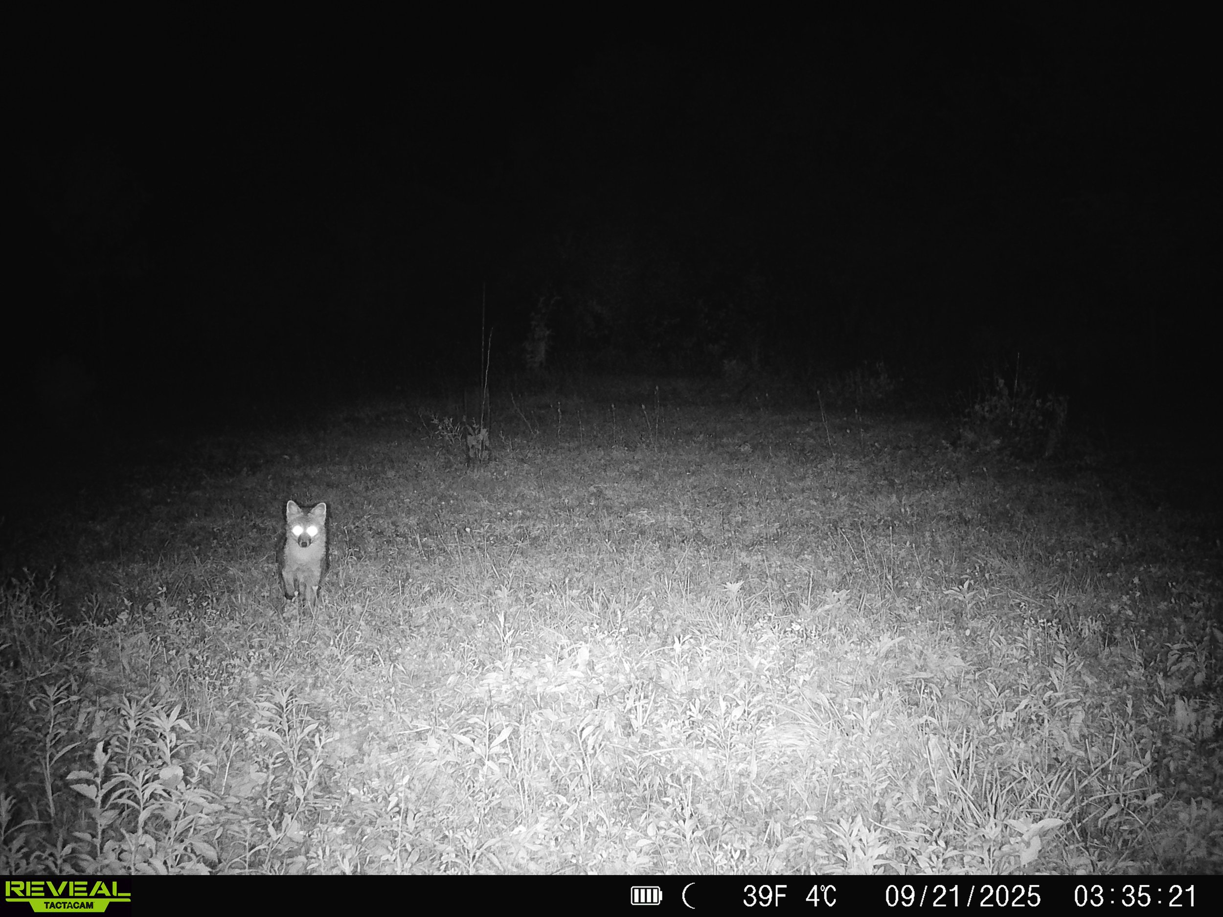 2914_T0K9LBdBPoCcB2CbYqEG_Oct 3_SYFW0106.JPG