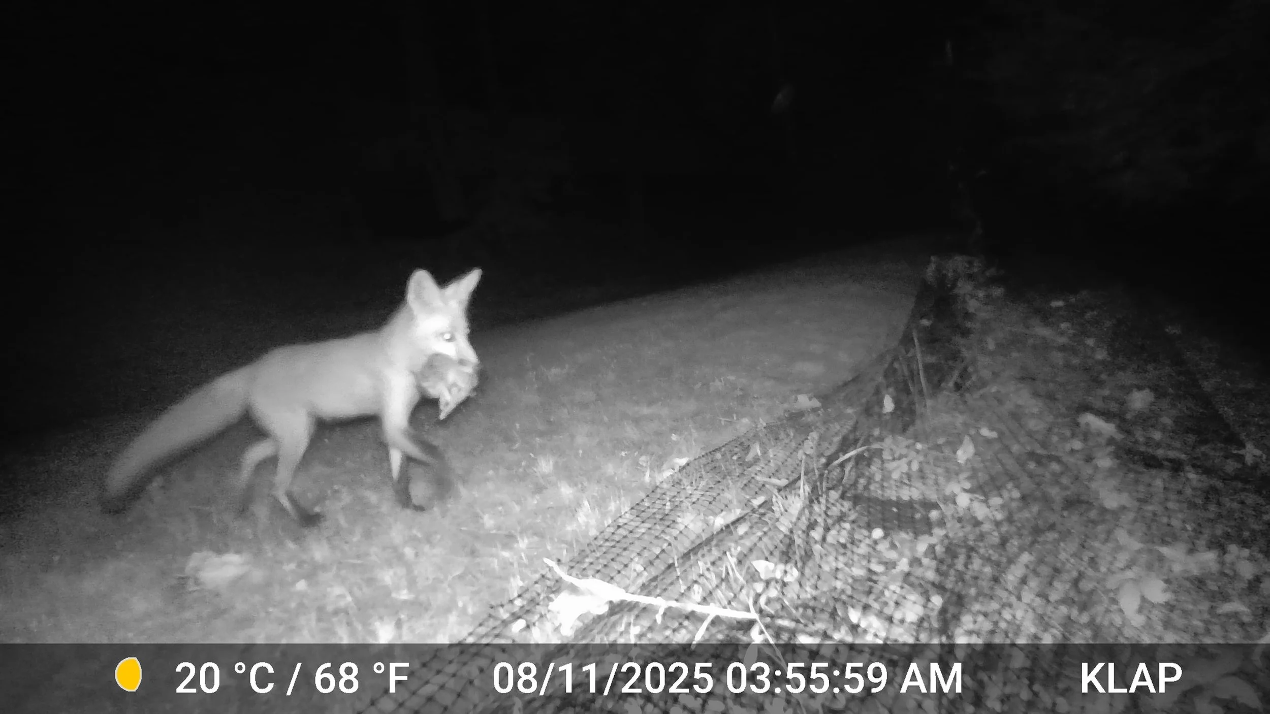 3893_6JURkzf2sI2nkM0xpIwK_Still photos_DSCF0013.JPG