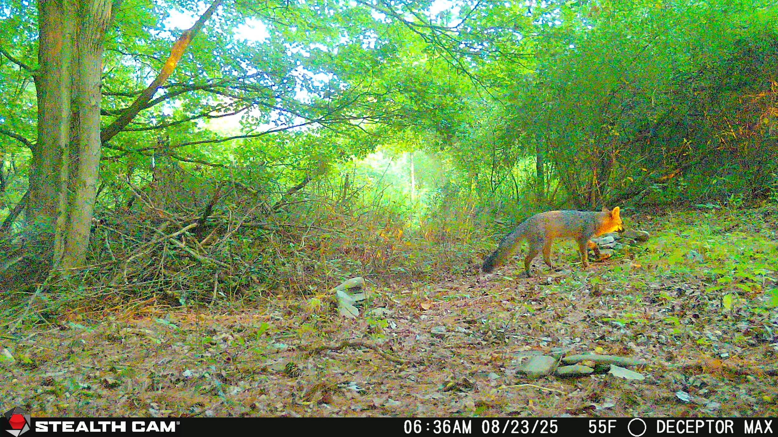 221_aS3jzgqcDYo88leHJegq_snapshot August 24_STC_0718.JPG