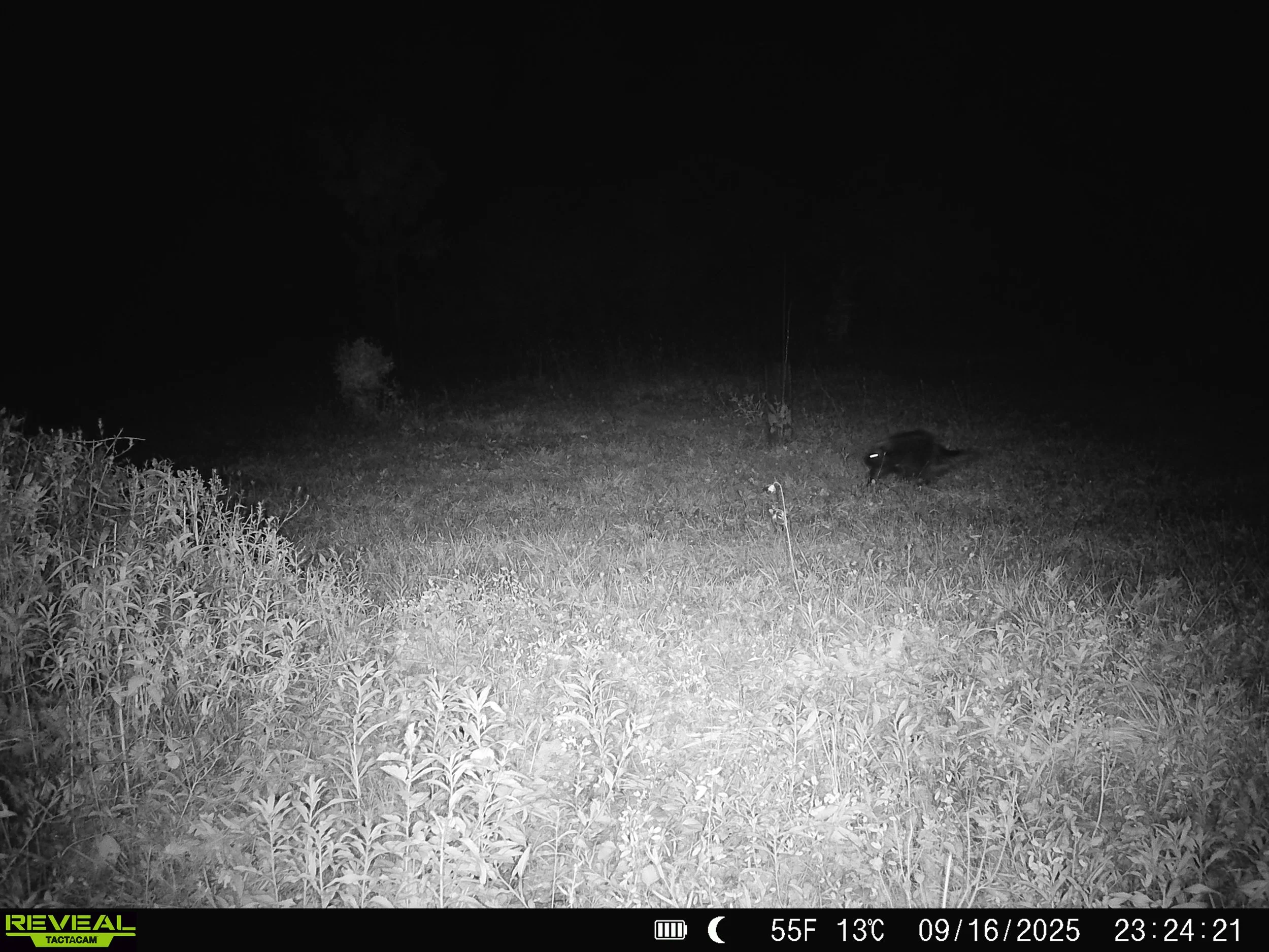 2914_tBP8kqVKSYKgXFlWPyEW_sept 20_SYFW0068.JPG