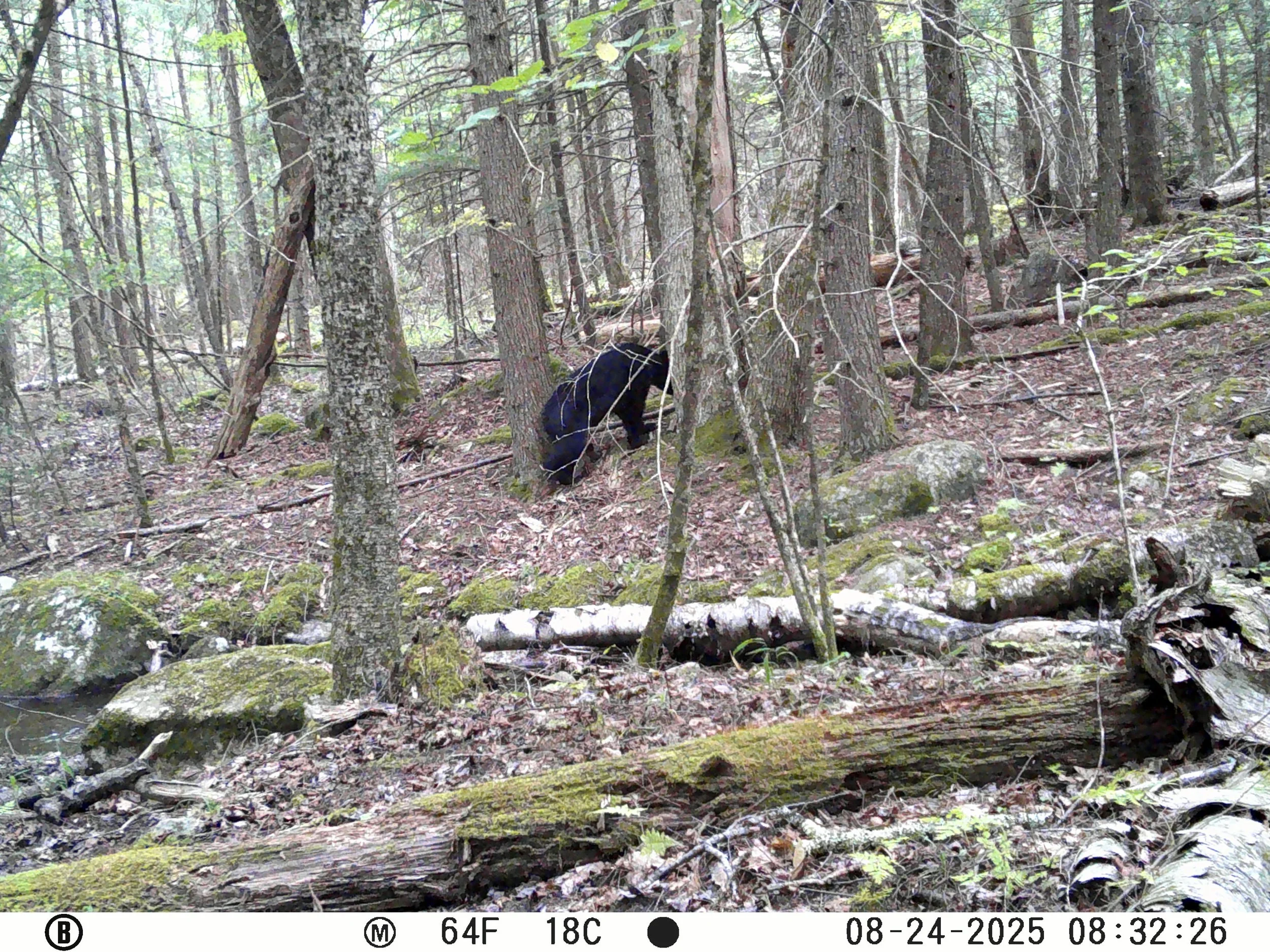 1321_2GGU6PI0wjGndLy34lep_Snapshot Upload 8.27.25_08240162.JPG