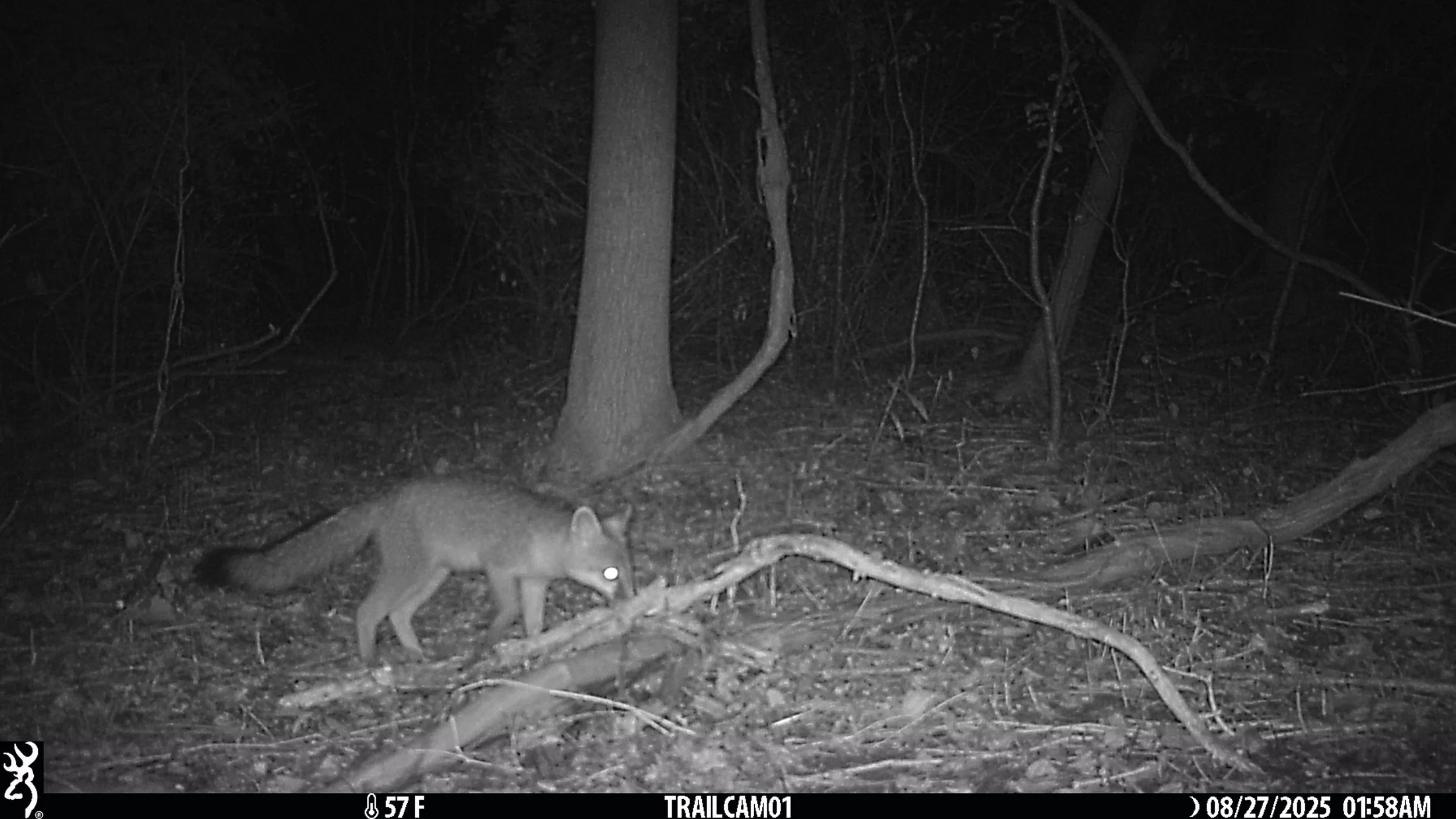 2110_UwSi0dmHHaYkBICldw1c_Mi Casa Upload Check 1_IMG_0889.JPG