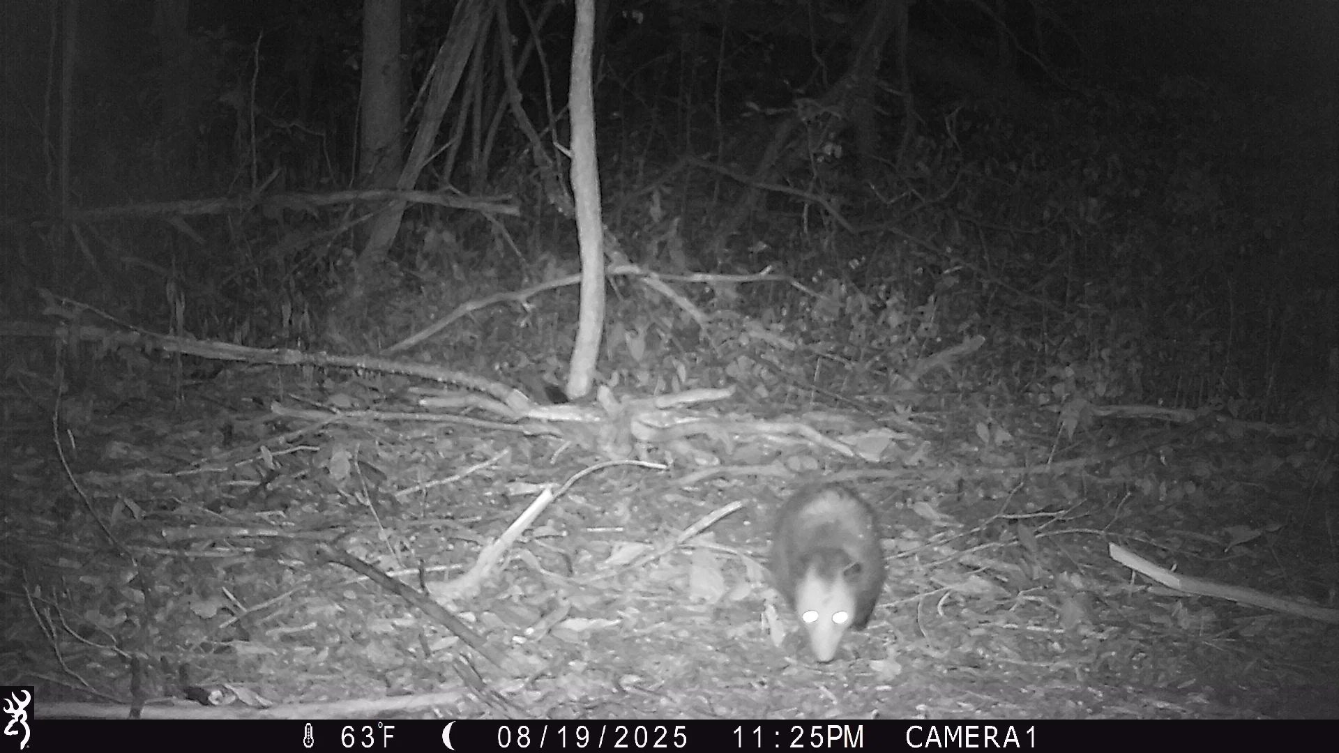 926_5KoHyW6DY7Q5NcvgWukp_Makyes Rd Check 1_IMG_0027.JPG