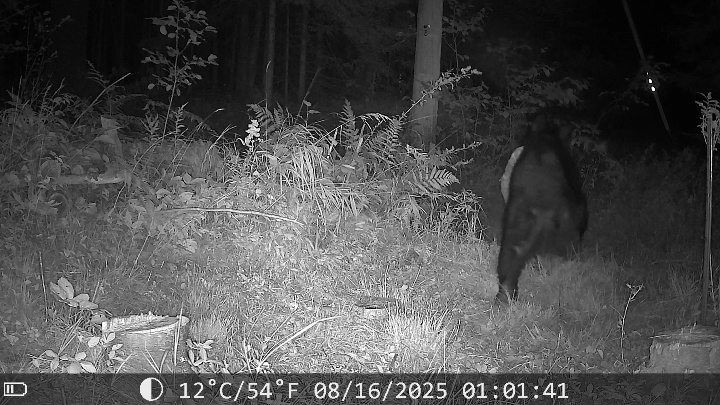 1037_ohyW4hcKq5XrI07IlSwU_Photos-1-001 (4)_2025-08-19_17.53.39.818_A781A365.jpg