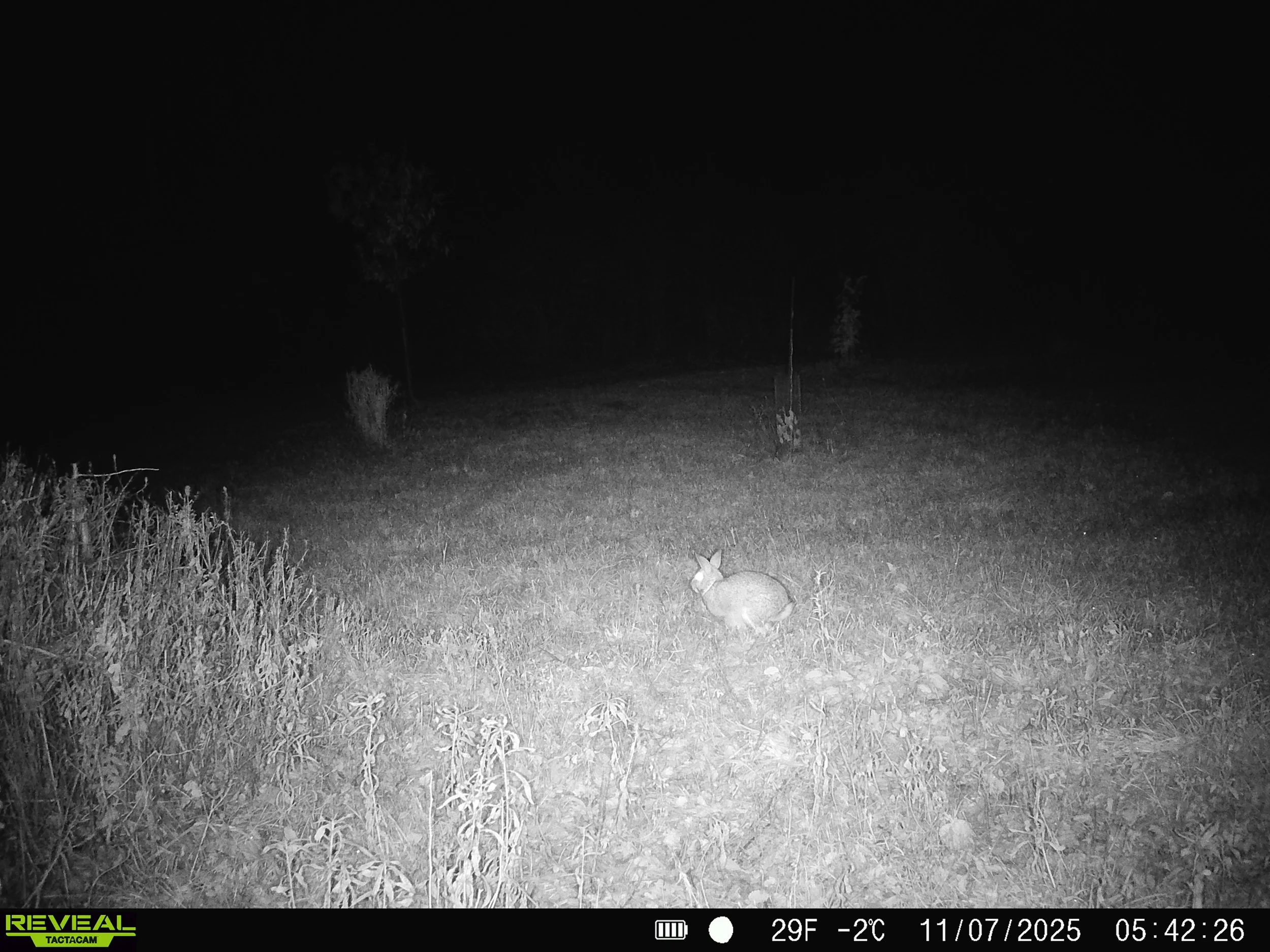 2914_qCnlAoUcZ2klXTrcS2WY_nov 8_SYFW0454.JPG