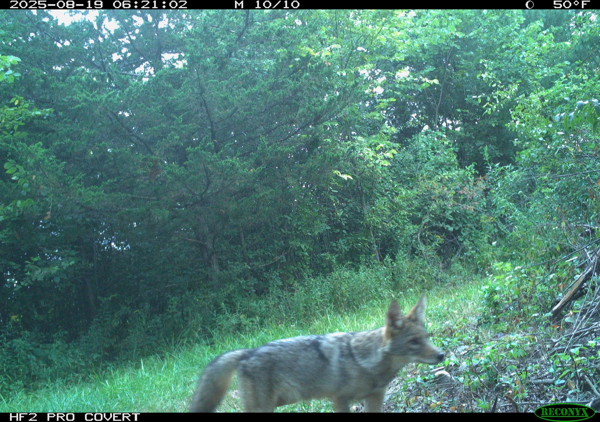 1659_un6FQhjDZfKwvOiS2zkR_8.24.25 Snapshot_RCNX0120 2.JPG