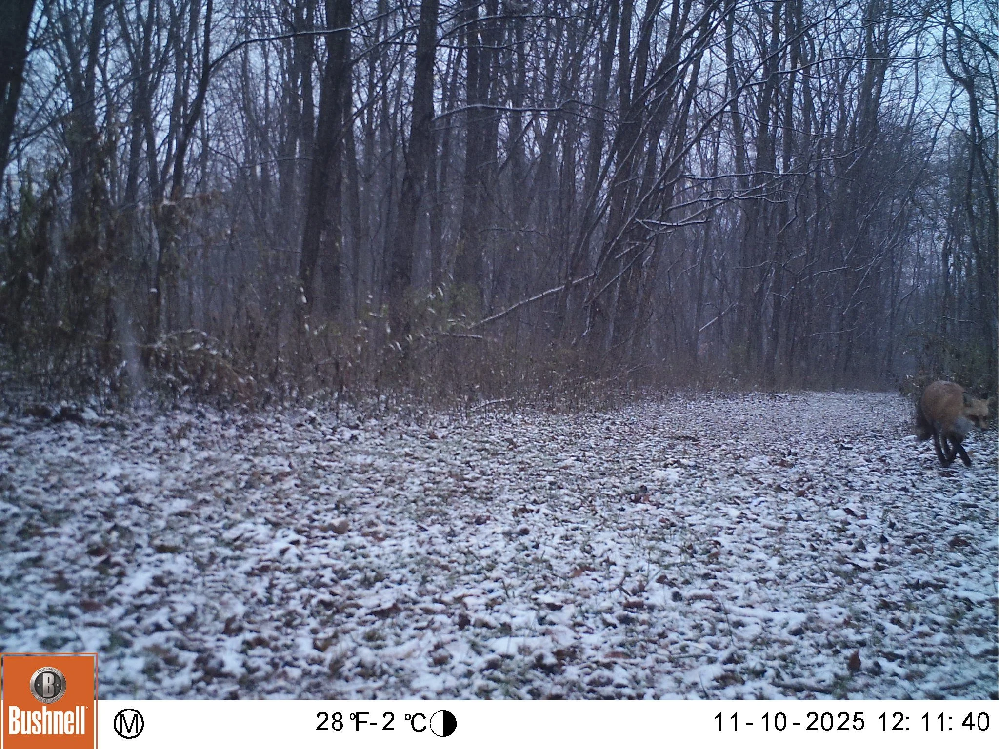 1353_1pJfcRyJmj9ixkbOyasz_2025-1114 snapshot tower_11100220.JPG