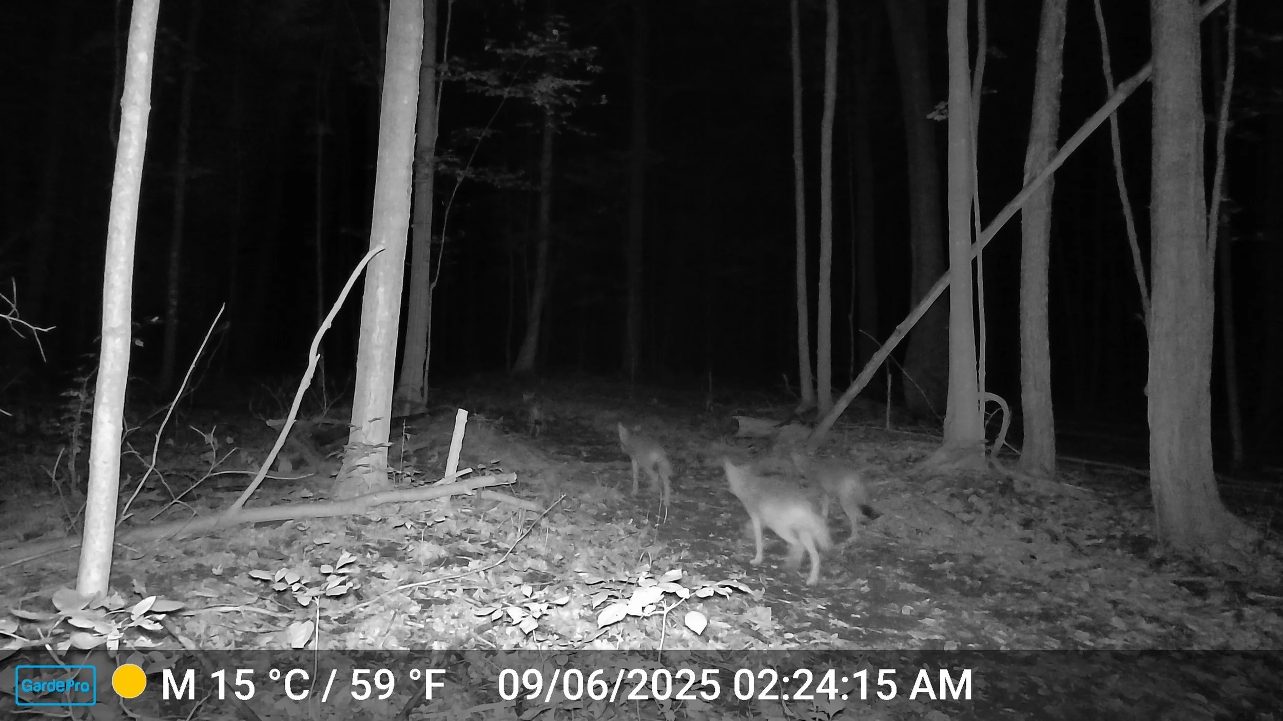 3898_MeIcXnb8GLTqUNchtMXy_Snapshot NY 9_7_2025_DSCF0405.JPG