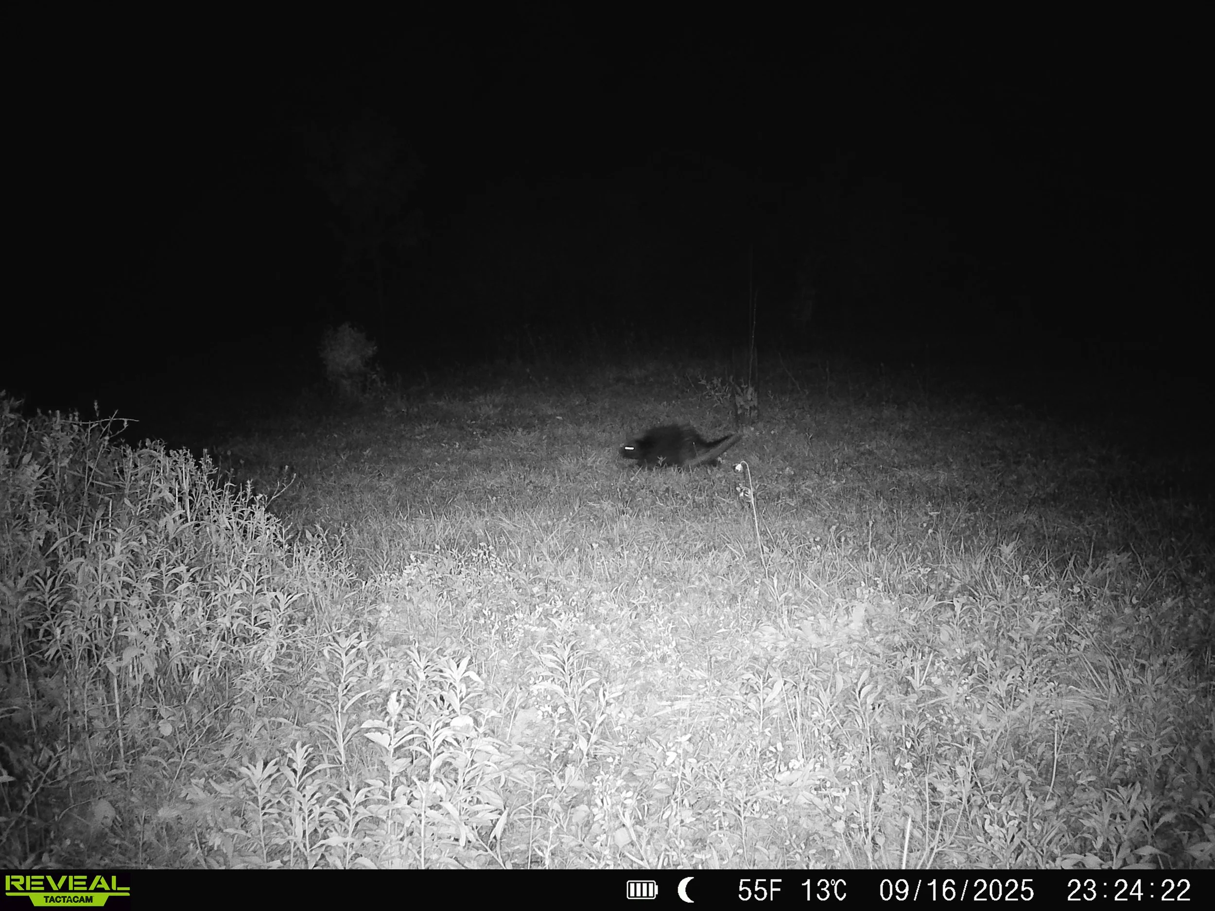 2914_tBP8kqVKSYKgXFlWPyEW_sept 20_SYFW0069.JPG