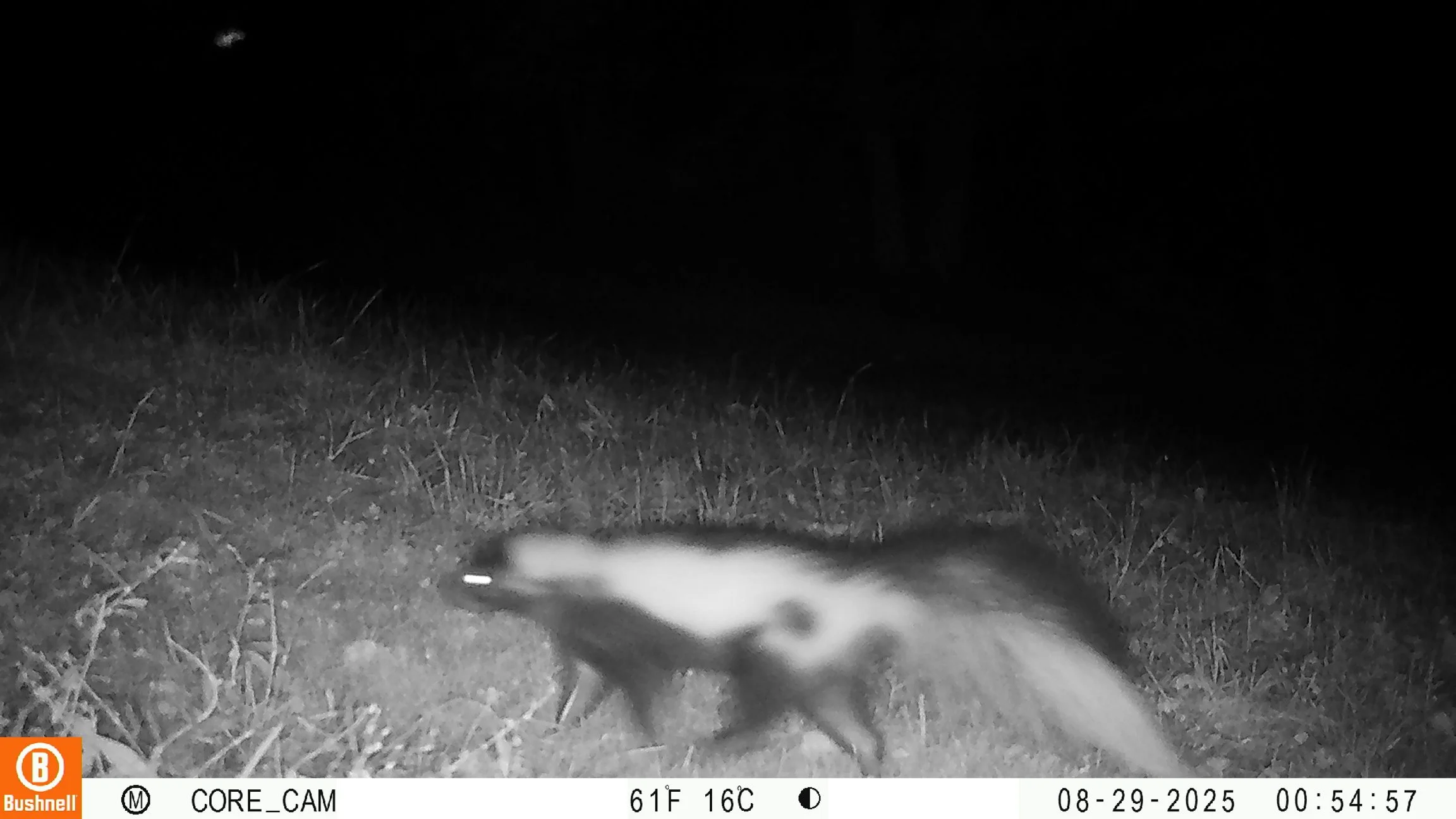 1185_r6ksE4lpNwH8fMvFwCBR_Snapshot NY round 1_08290058.JPG