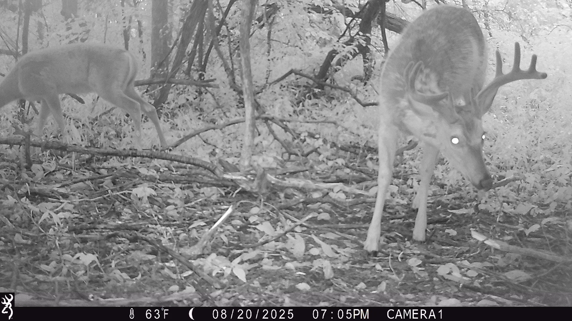 926_5KoHyW6DY7Q5NcvgWukp_Makyes Rd Check 1_IMG_0284.JPG