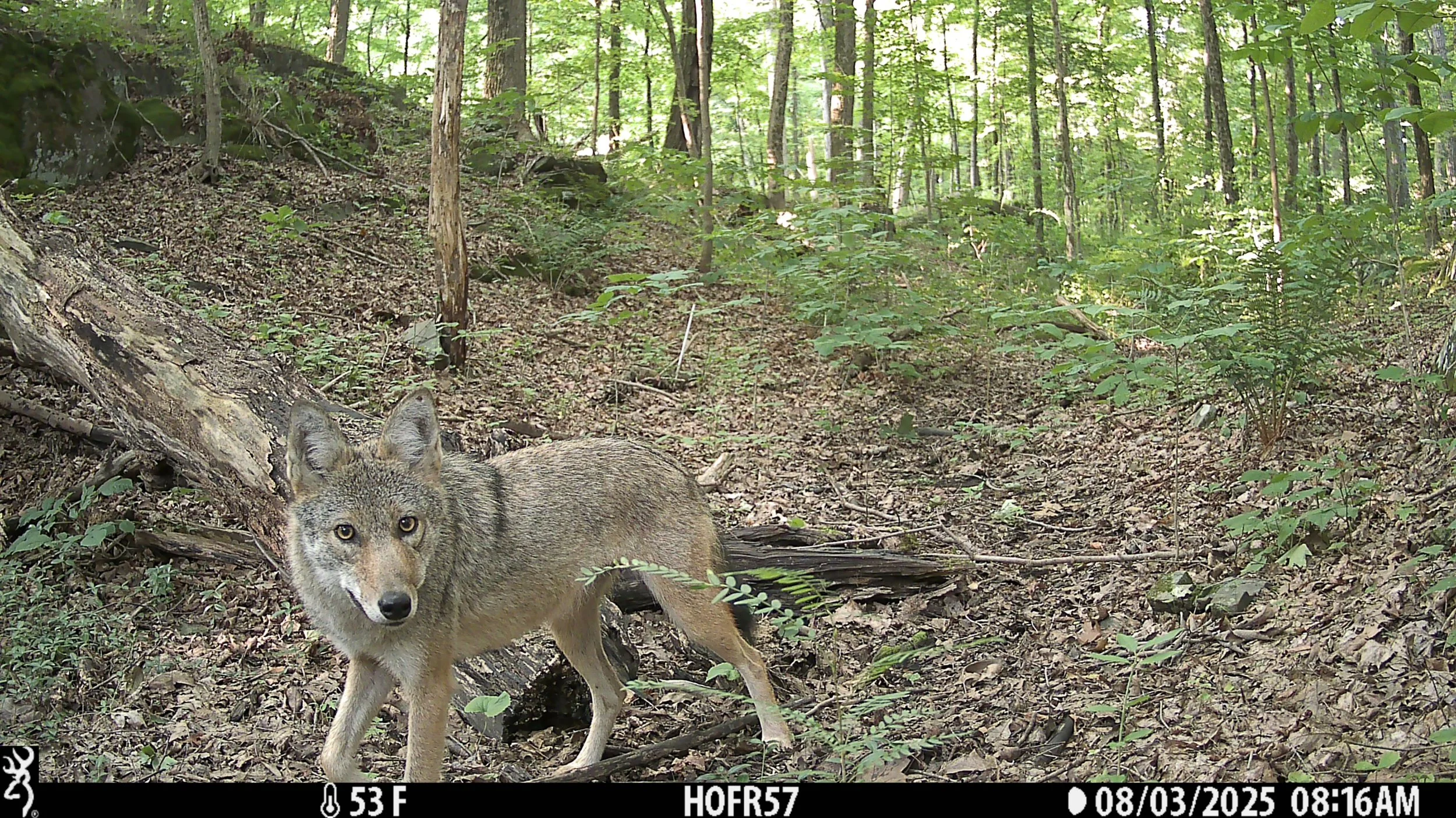 446_w3wvKBwBI20Uz0C1KWY0_7-22 to 9-3_IMG_0359.JPG