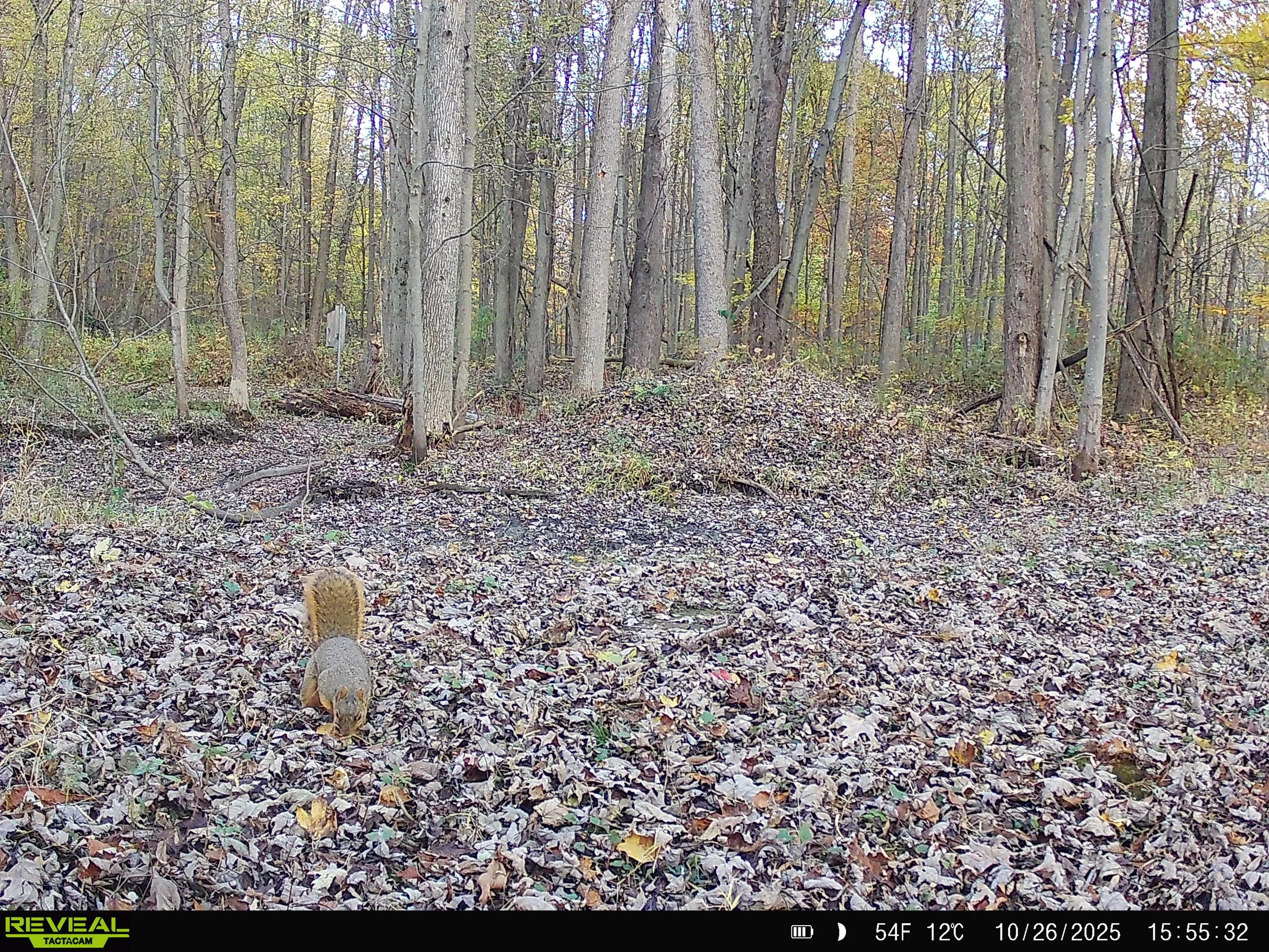 791_3xjlemKDuah2Fn4n9lcJ_DK 11-1-25_SYFW0141.JPG