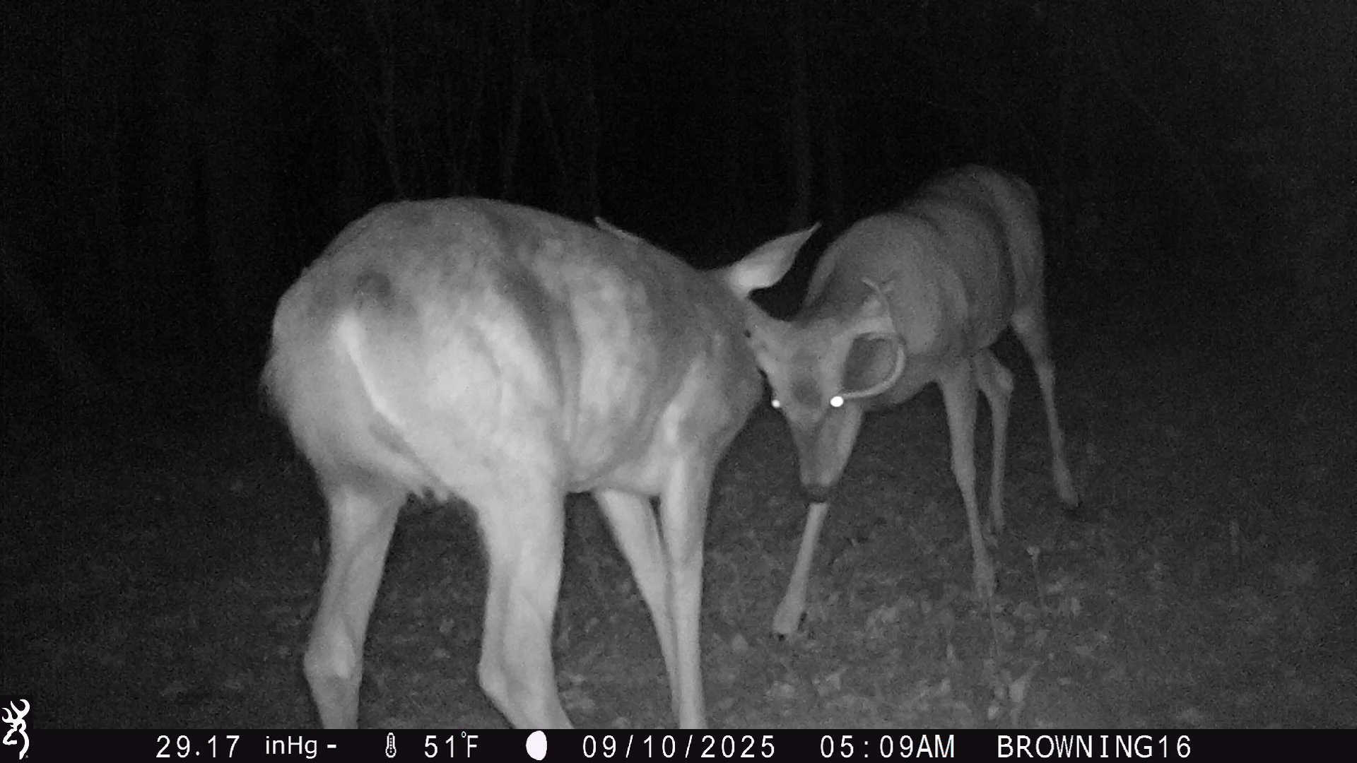 1461_CF8usgbPFjSXSEfIpKON_SnapShotNY - Potter Grid_IMG_0135.JPG