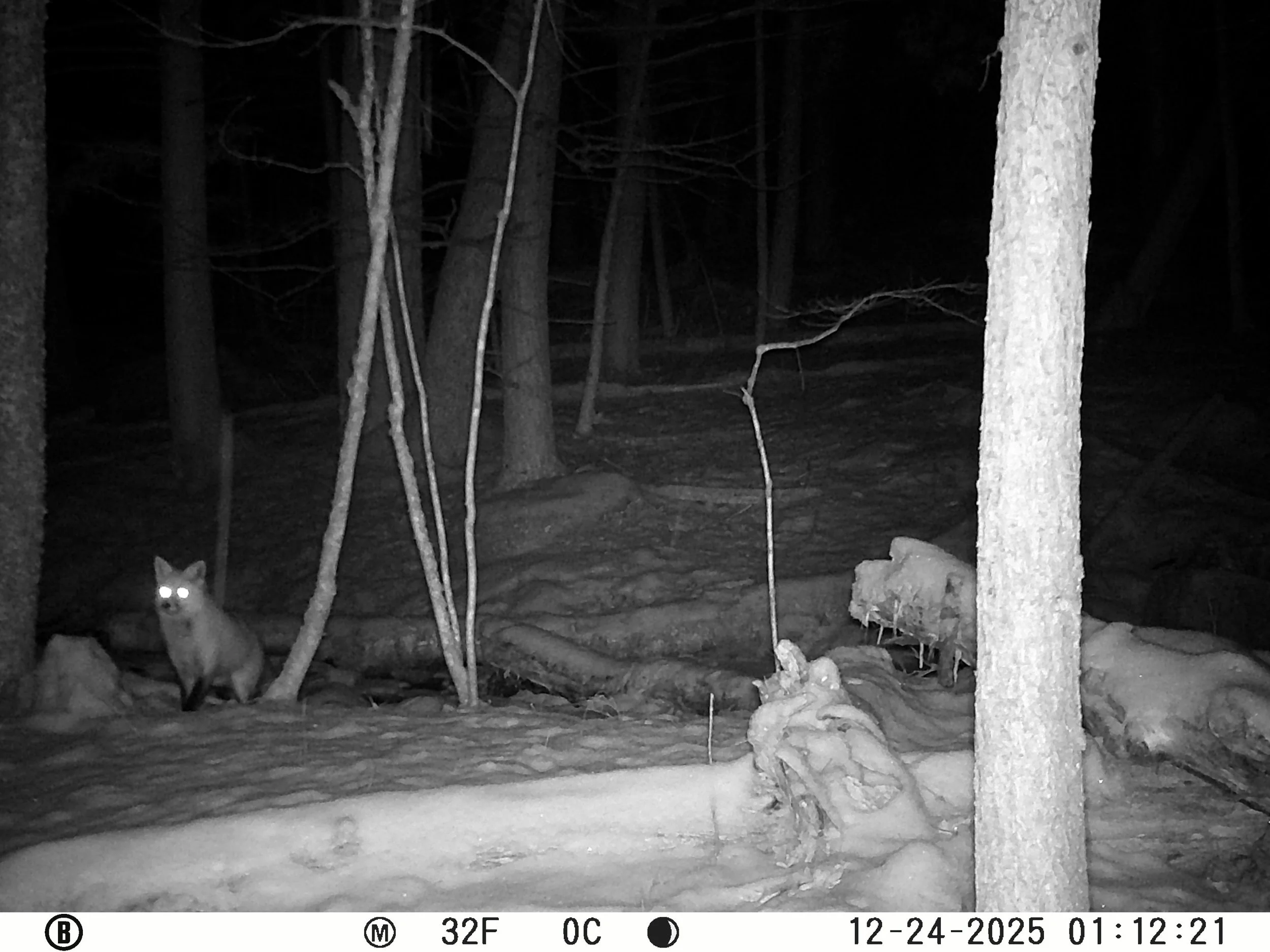 1321_FfPTmsgusLthcAfoQR4c_Snapshot Uploads 12.28.25_12240023.JPG