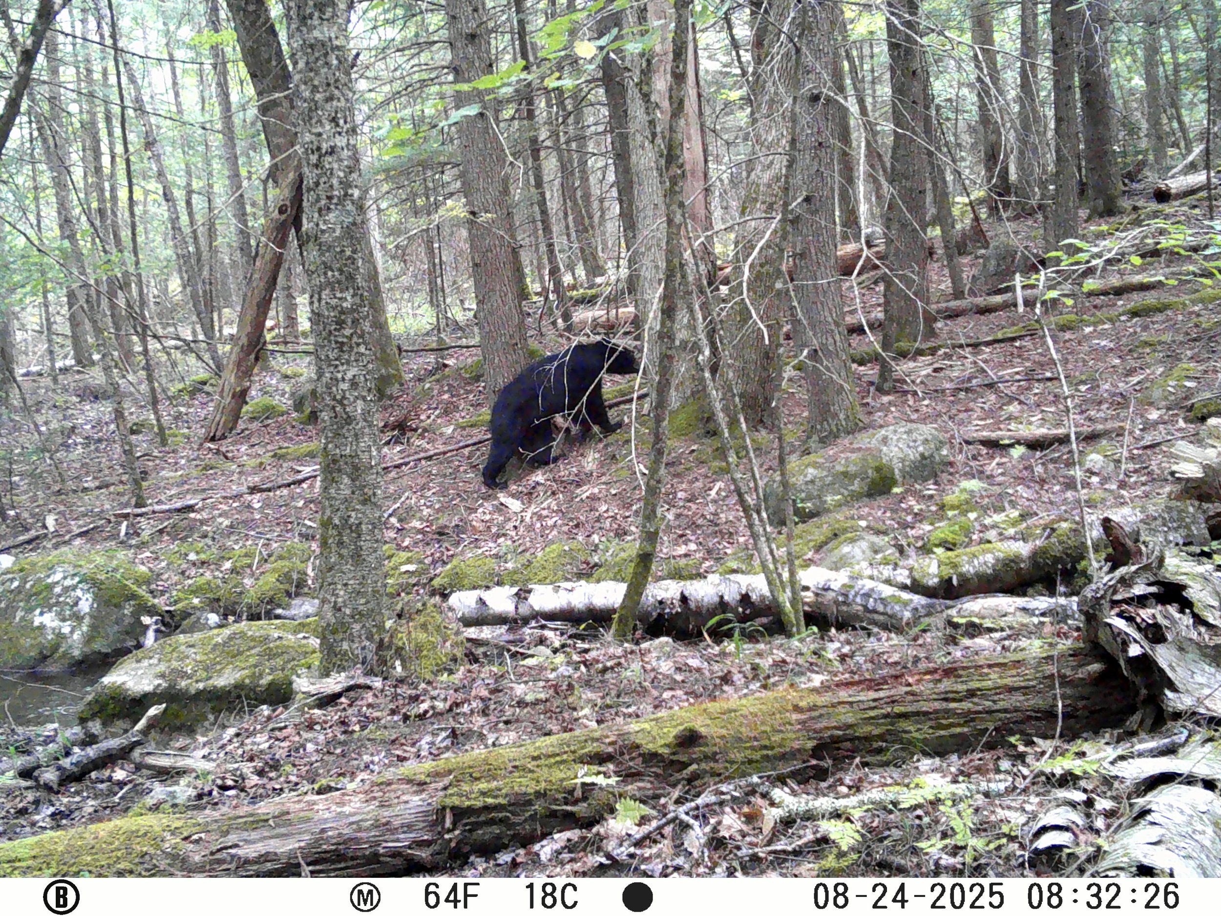 1321_2GGU6PI0wjGndLy34lep_Snapshot Upload 8.27.25_08240161.JPG