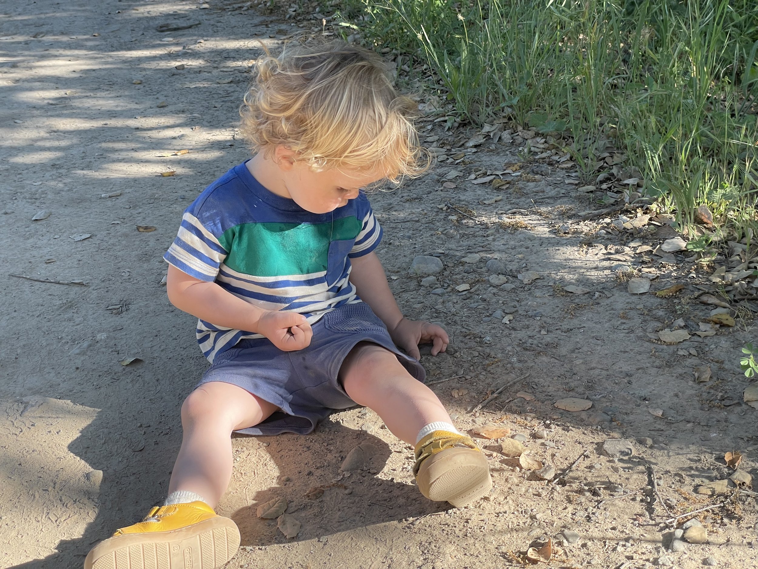 A Season of Wonder: How to Approach Summer Play with 0 – 6 Year Olds
