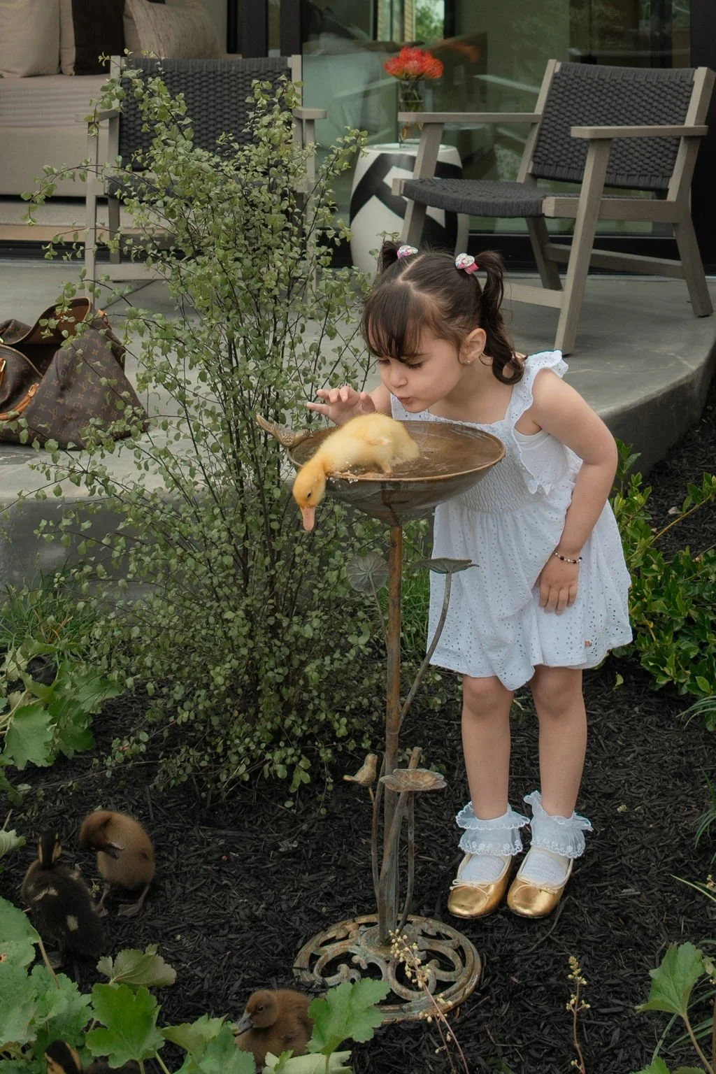 A young girl in a white dress and gold shoes is leaning over a rustic birdbath, observing a duckling perched on it. More ducklings are seen on the ground below, surrounded by greenery. The setting is an outdoor patio with furniture in the background.