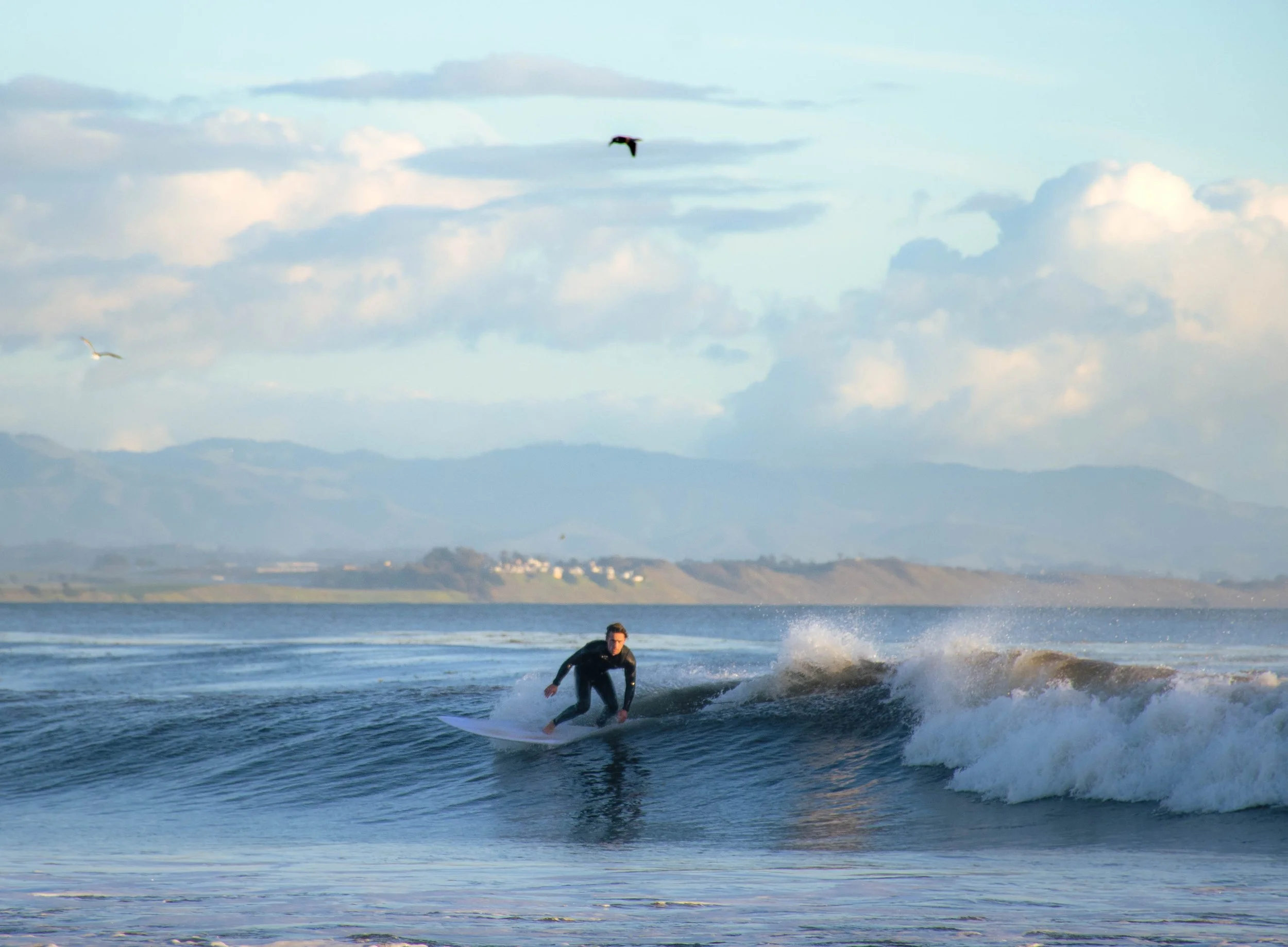 Nicholas Dorsey, director and cinematographer, portrait