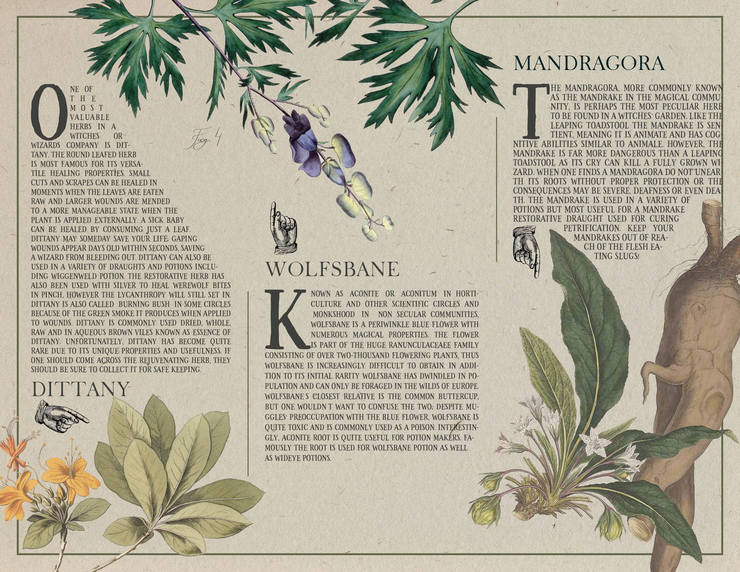 Trifold brochure2.jpg