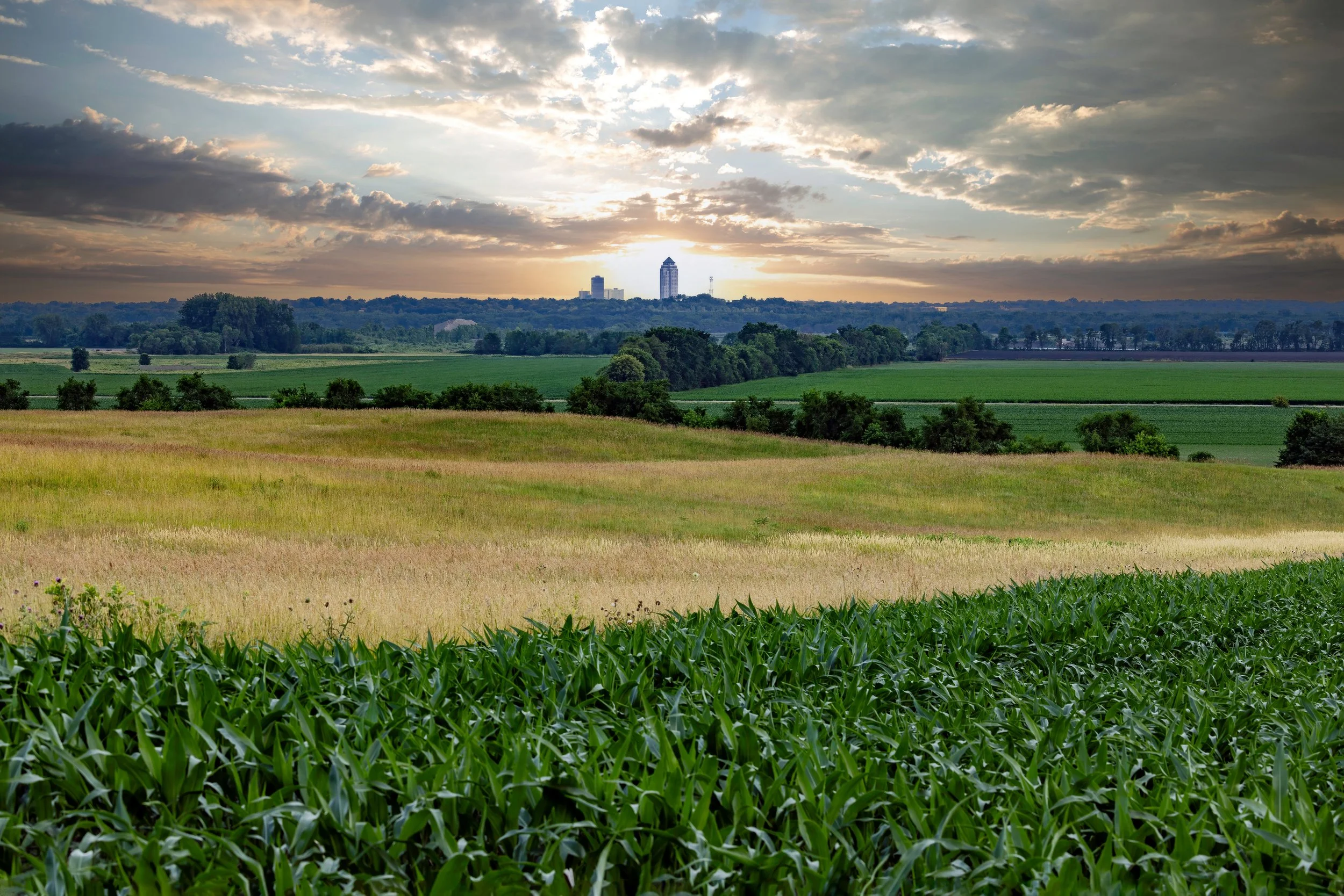 A scenic landscape of lush green farmland with rolling fields and dense trees, with a city skyline in the distance under a partly cloudy sky during sunset.