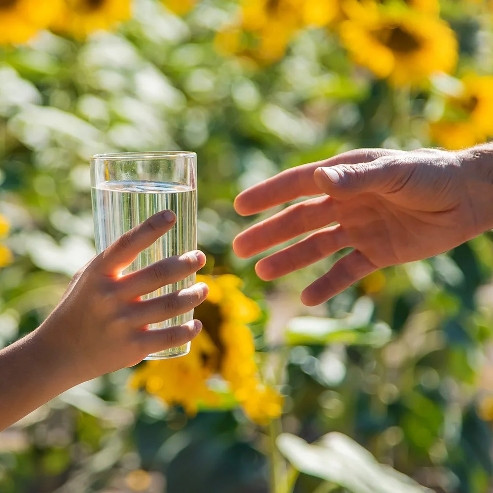 Say Yes to the Drink