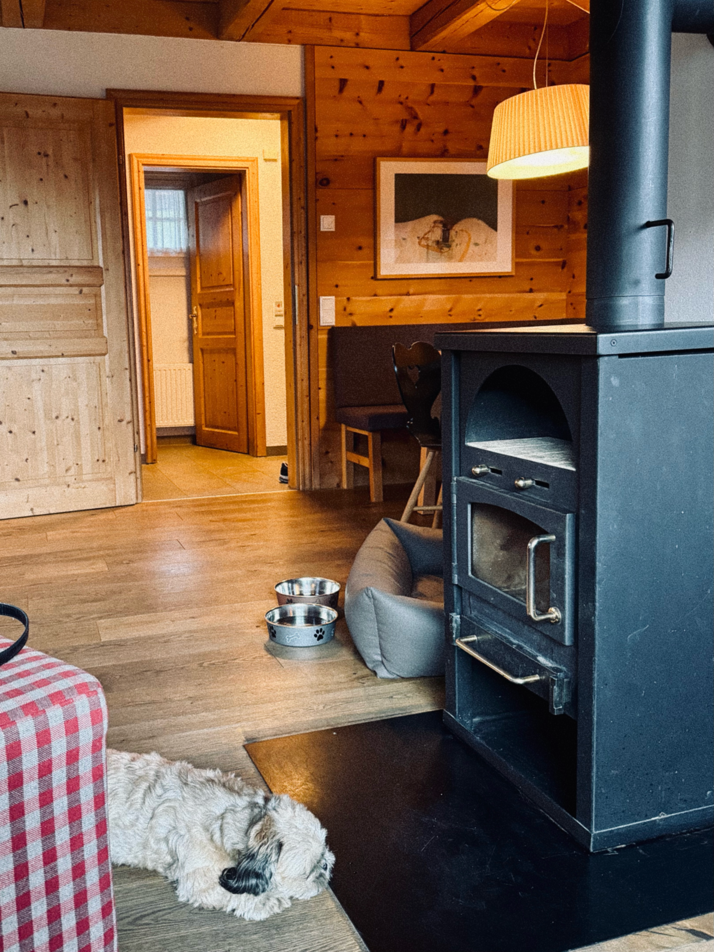 shih tzu mishka liegt im chalet vor dem kamin im mountain resort feuerberg