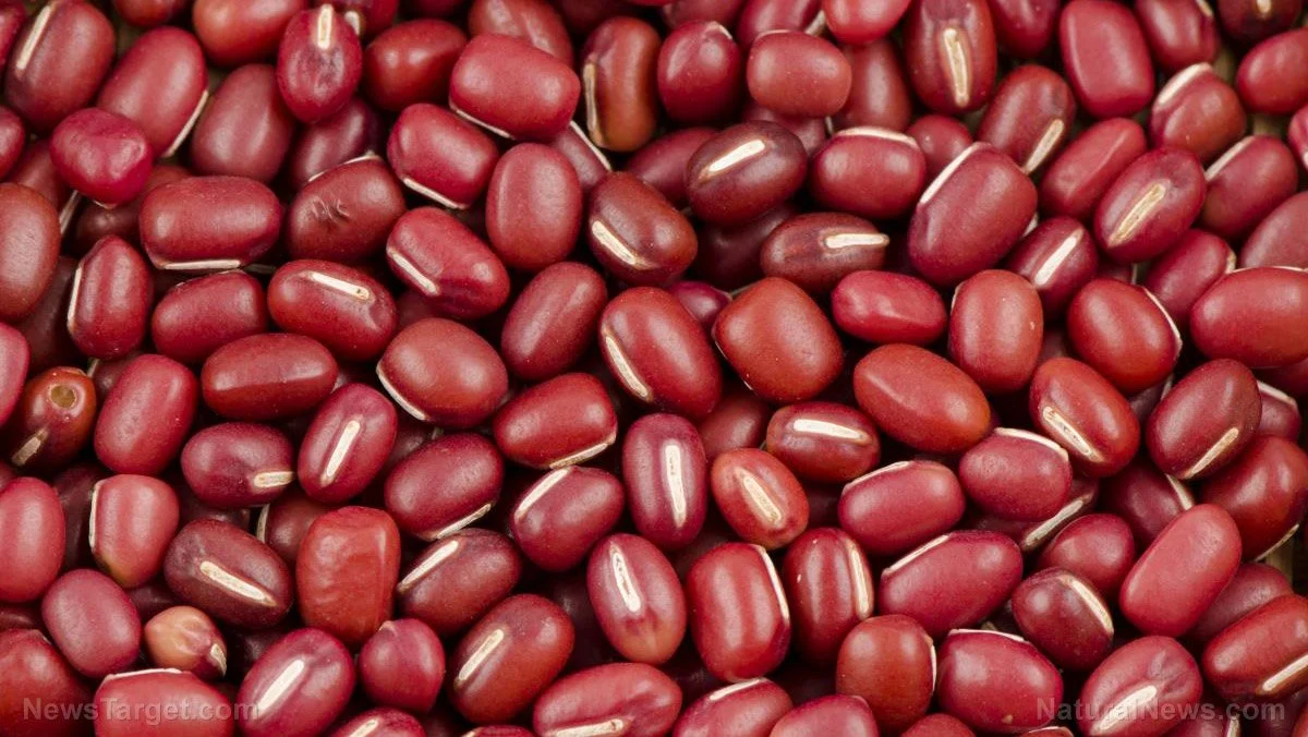Close-up of red adzuki beans.