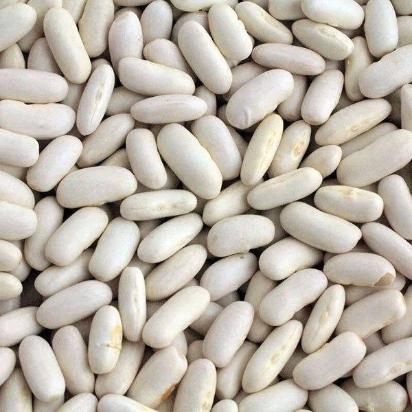 Close-up of white beans