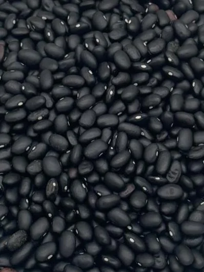 Close-up of a pile of black beans.