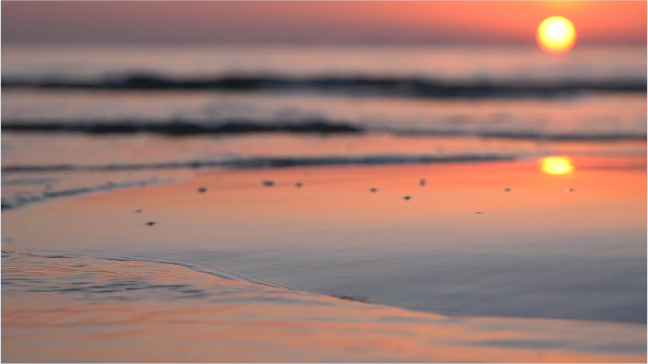 Soften the Past image.png