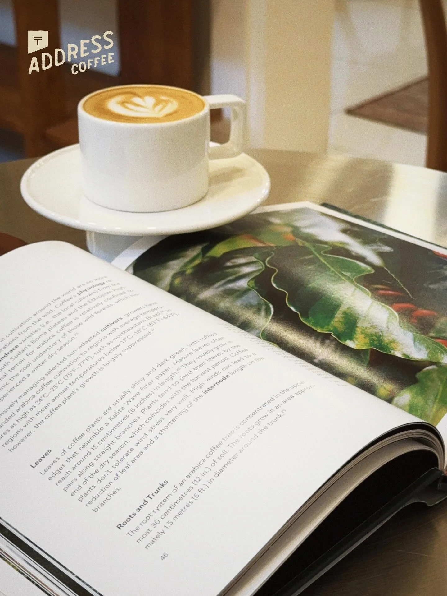 COMMUNITY GROWS WHERE STORIES AND CONVERSATIONS ARE SHARED. @findaddress.coffee | @stjohnscountylibrary 

In partnership with the St. Johns County Public Library System, we&rsquo;re celebrating Library Card Sign-Up Month!

Throughout September, show 