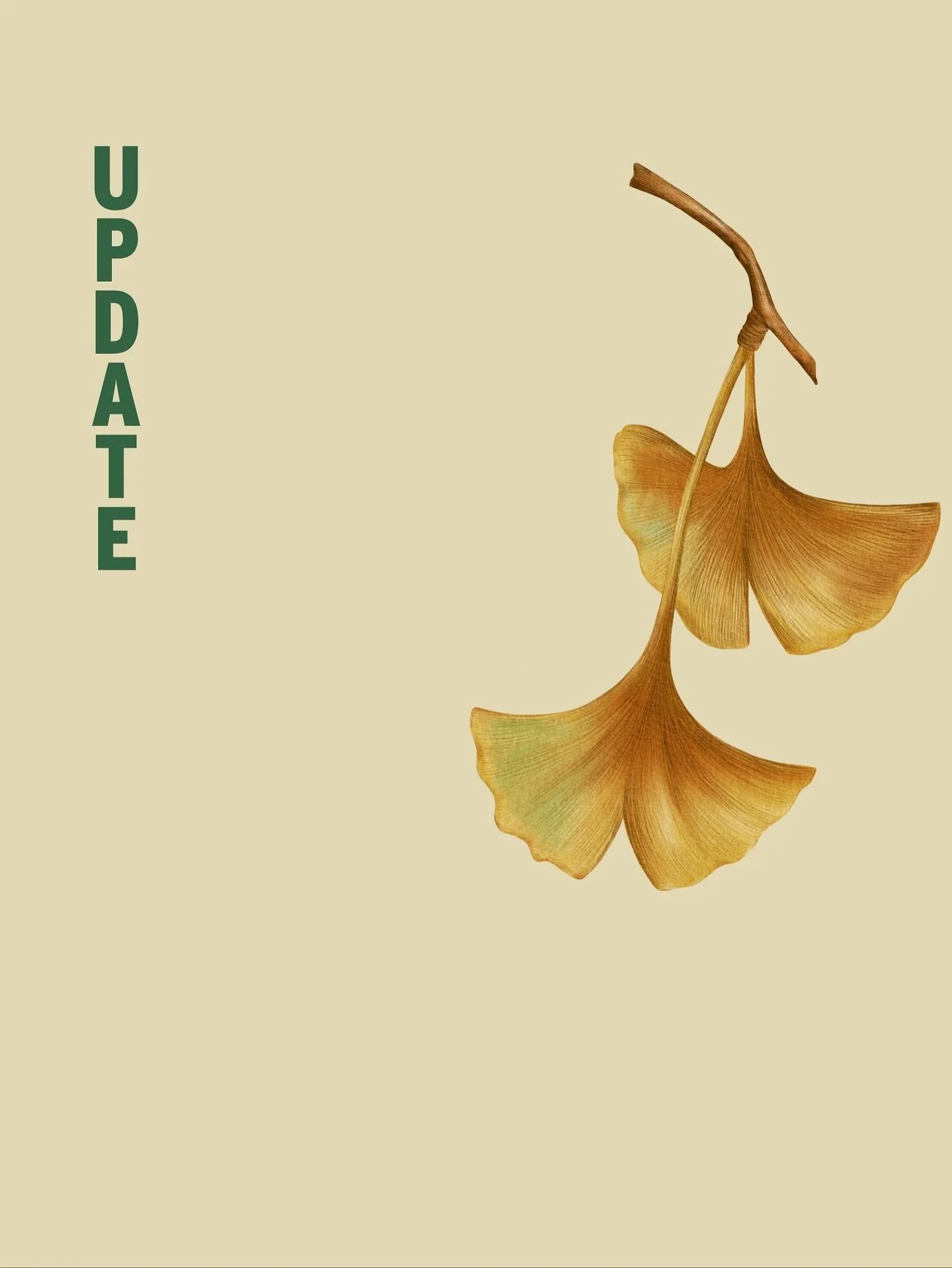 They are part of our ongoing effort to reconnect with the values that shape ADDRESS COFFEE, and to refine the experience we offer: thoughtful, honest, and centered on specialty coffee.

Thank you for being part of this with us.