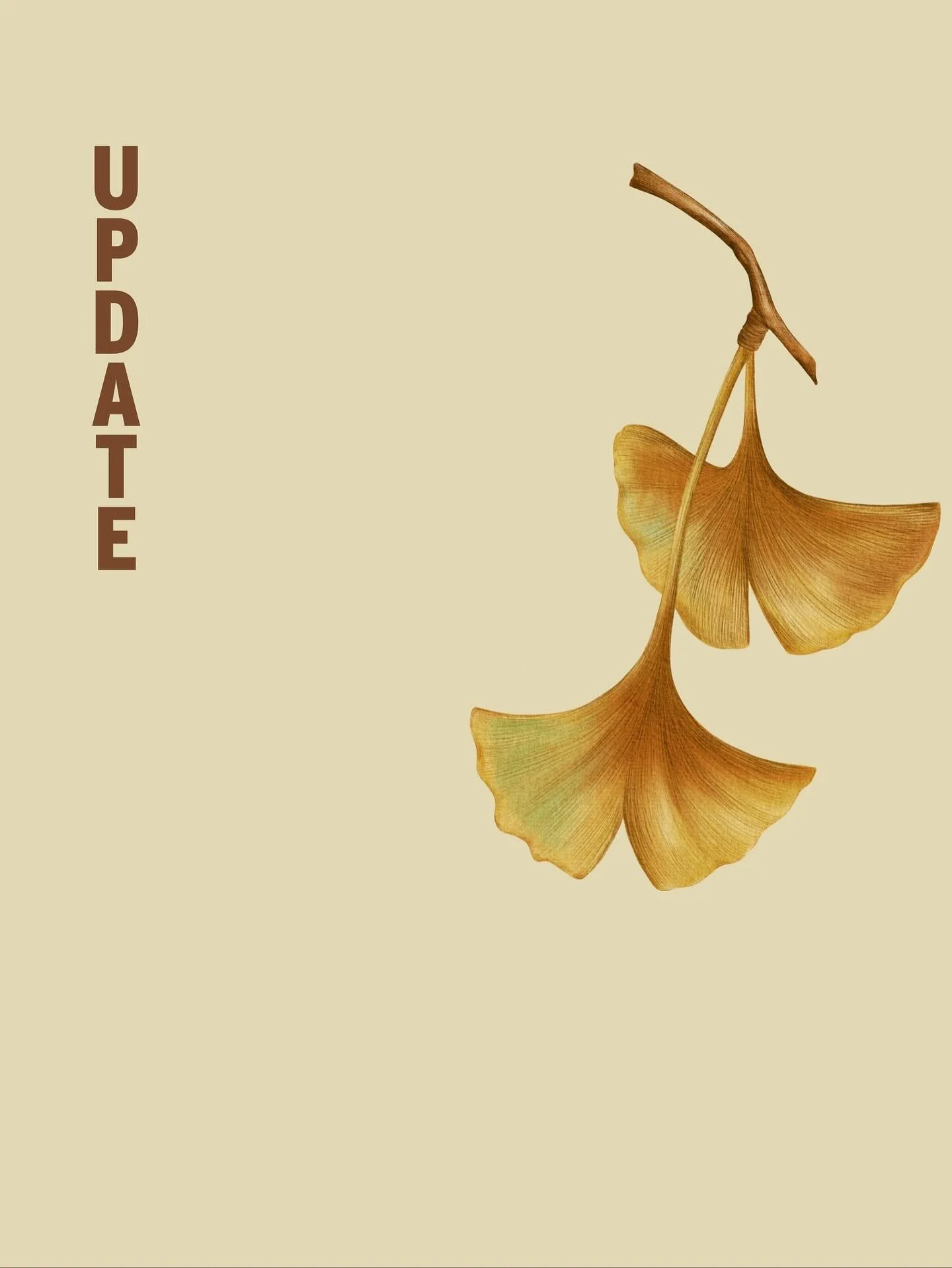 We&rsquo;re focusing on what we love most: coffee, hospitality, and simplicity.
While we&rsquo;re not offering food at the moment, our focus remains on building a meaningful experience around coffee, care, and connection. That&rsquo;s always been the