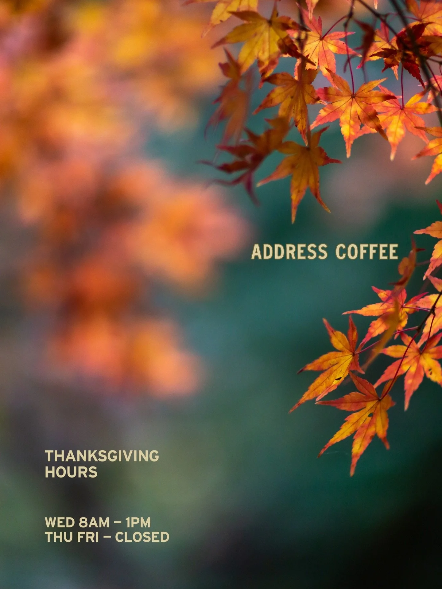 Happy Thanksgiving! 

Our hours this week: 

Monday 8 - 3
Tuesday CLOSED
Wednesday 8 - 1
Thursday CLOSED
Friday CLOSED
Saturday 8 - 3
Sunday 8 - 3