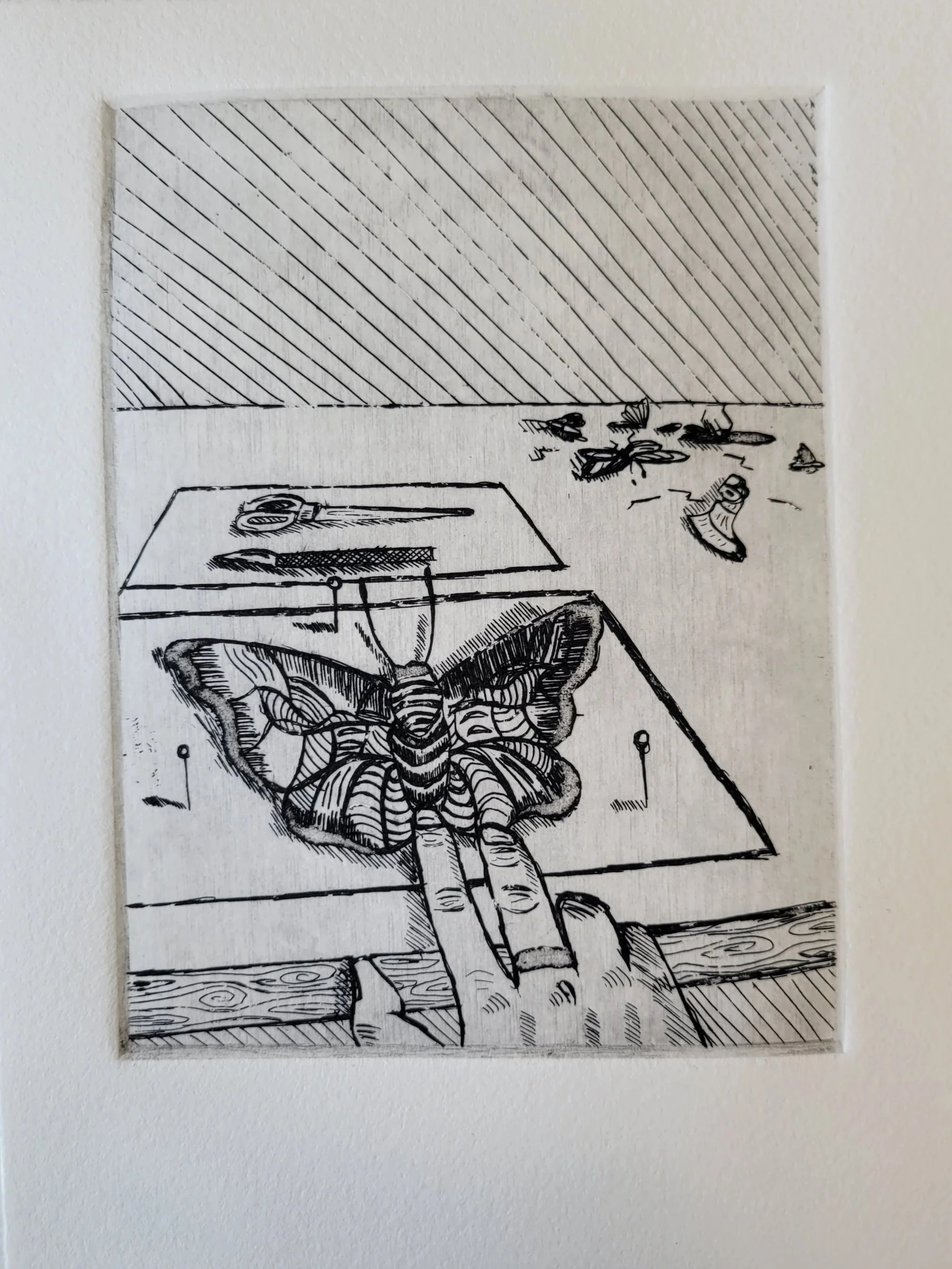 "Killer Curiosity"